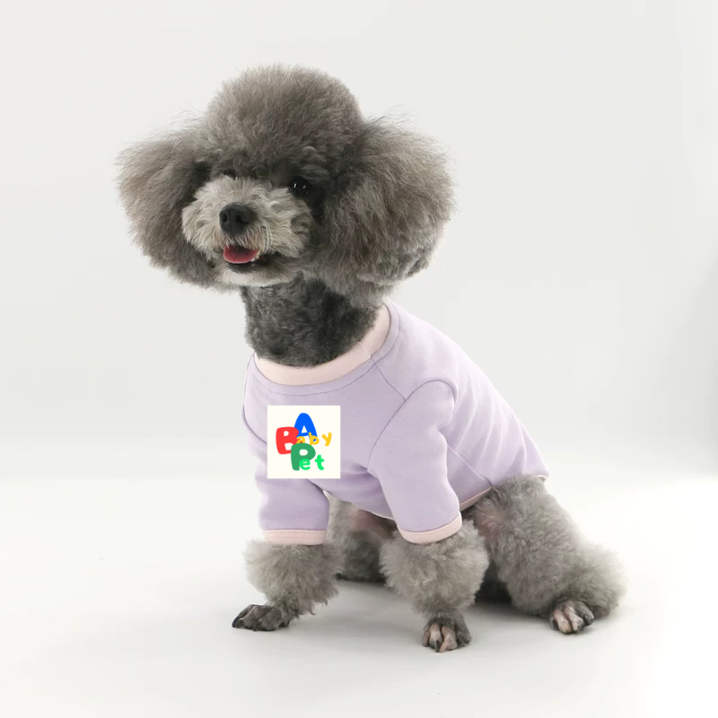 Original Pet-themed Spring/Autumn Color-Blocked Pure Cotton Knit Crew Neck Base Layer Shirt for Teddy Bear and Bichon Frise