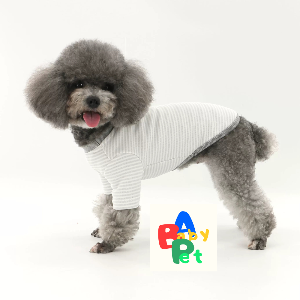 Original Pet Style Spring/Autumn Pure Cotton Striped Crew Neck Teddy Bear T-Shirt (Two-Piece Style)