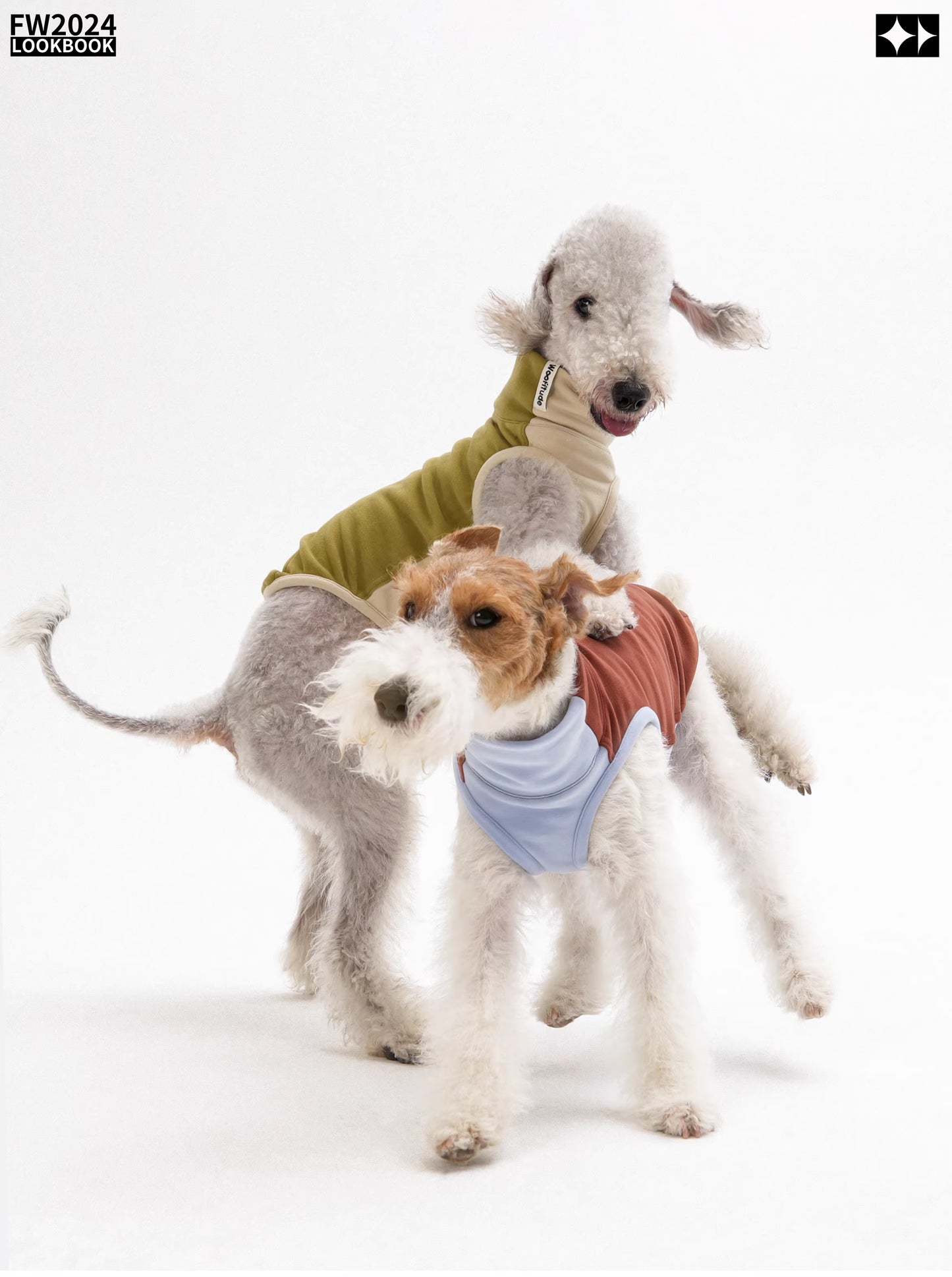 Antistatic, warm, elastic ginger-warm Tencel vest, Bedlington Little Greyhound Whippet clothing