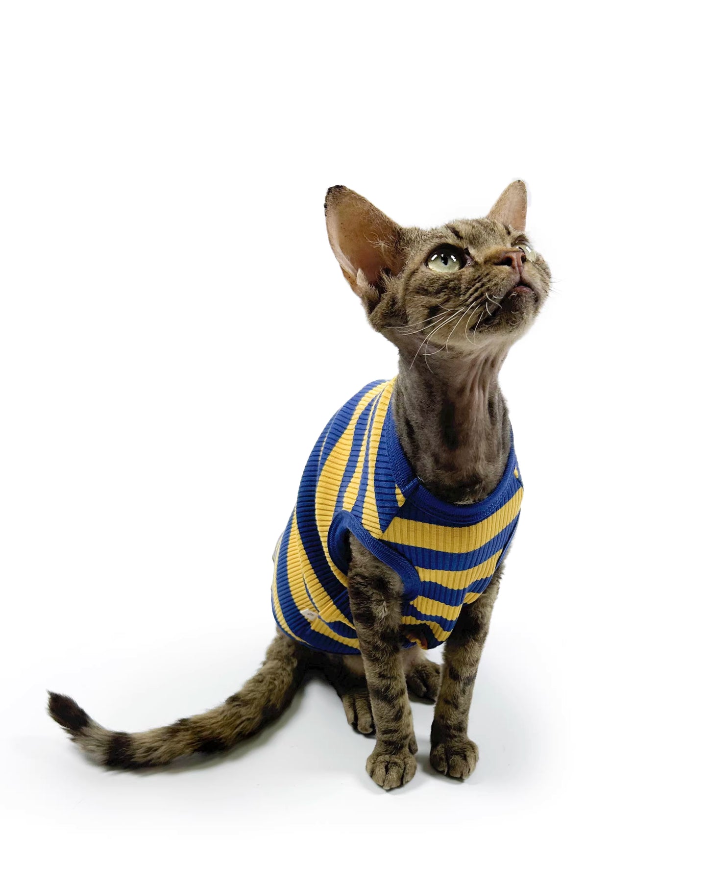 Hairless Cat Clothing: Sphynx & Devon Rex—High-Stretch, Pure Cotton, Comfortable, Skin-Friendly, and Hypoallergenic Vest