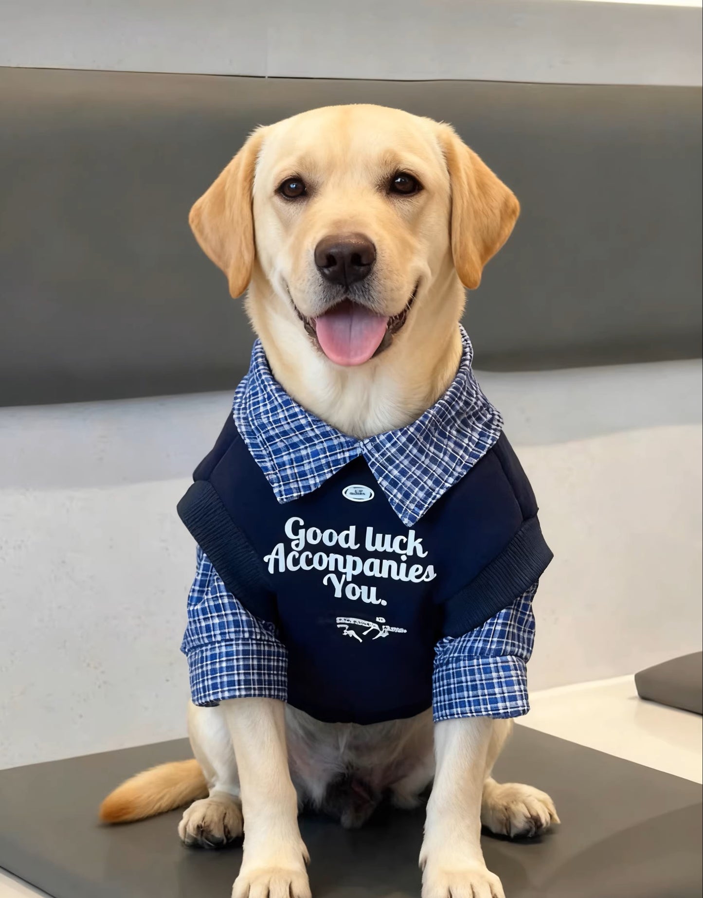 Dog clothes for autumn and winter, fleece-lined and thickened, faux two-piece style, suitable for large breeds such as Golden Retrievers, Labradors, and Border Collies.