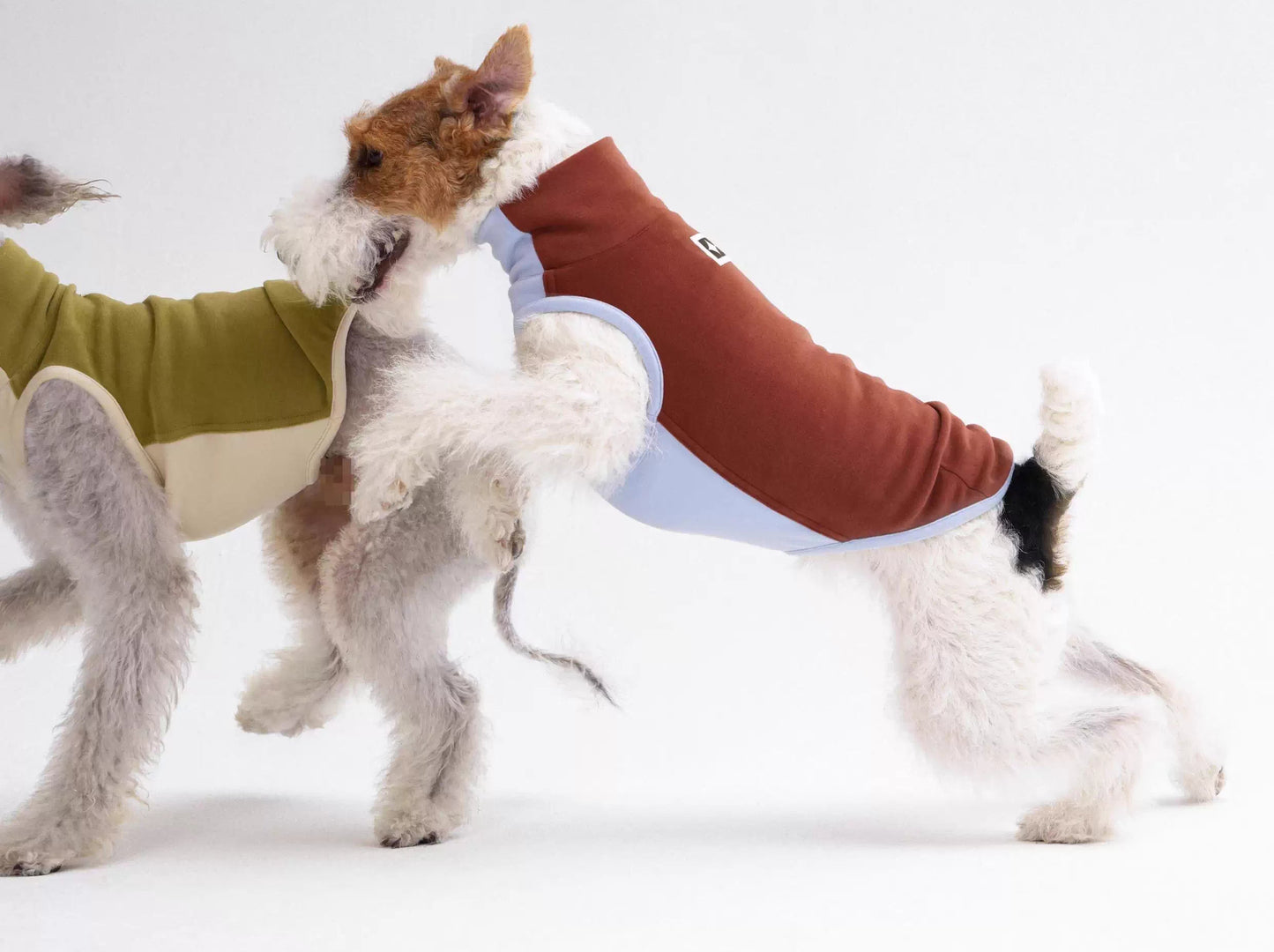 Antistatic, warm, elastic ginger-warm Tencel vest, Bedlington Little Greyhound Whippet clothing