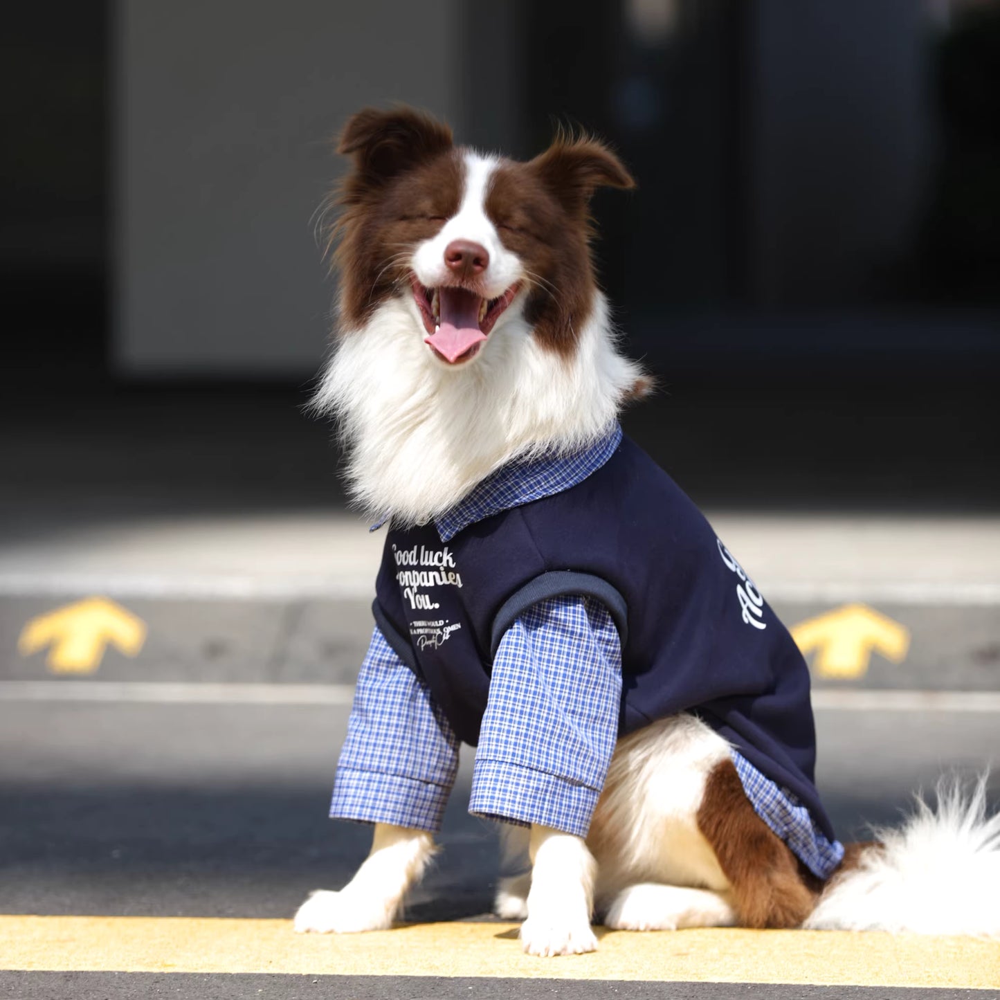 Dog clothes for autumn and winter, fleece-lined and thickened, faux two-piece style, suitable for large breeds such as Golden Retrievers, Labradors, and Border Collies.