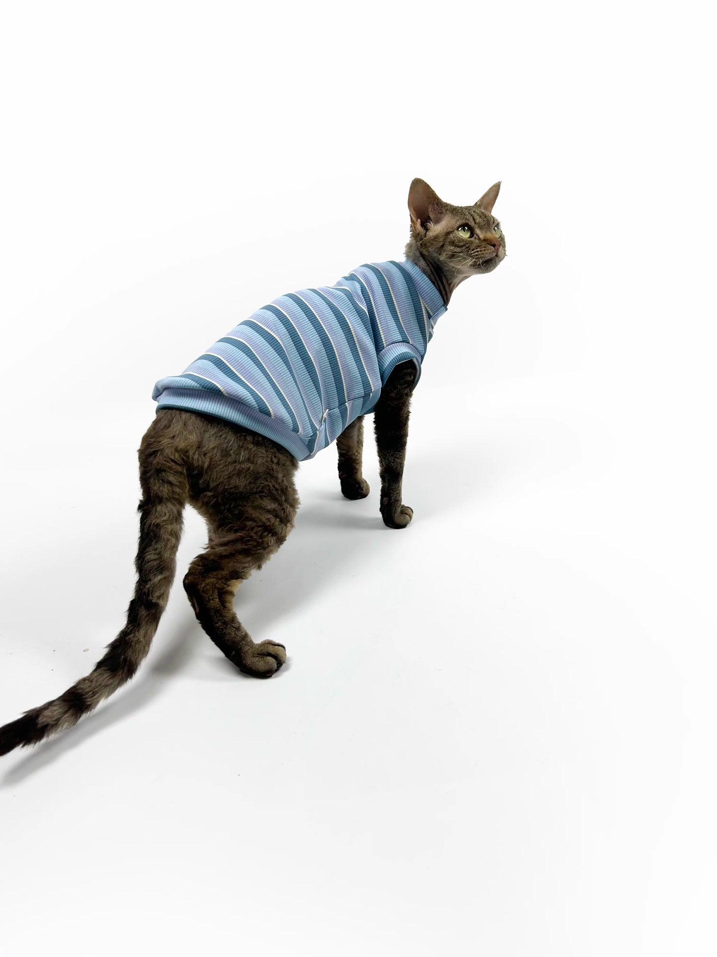 Hairless cat-themed sweater, Sphynx Devon stretch striped air-conditioned clothing, skin-friendly and comfortable vest/T-shirt.