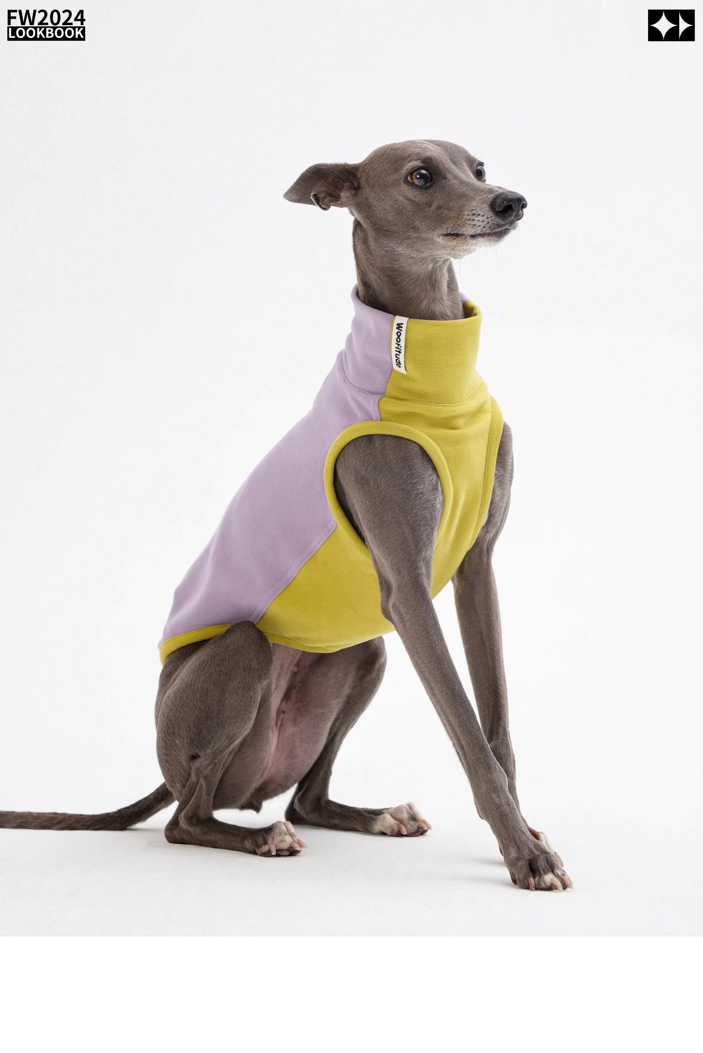 Antistatic, warm, elastic ginger-warm Tencel vest, Bedlington Little Greyhound Whippet clothing