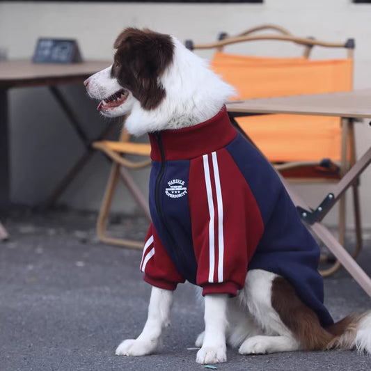 Large dog autumn/winter clothes, medium to large breed color-blocked trendy coats, Border Collie and Golden Retriever fleece-lined, thickened pure cotton winter wear.