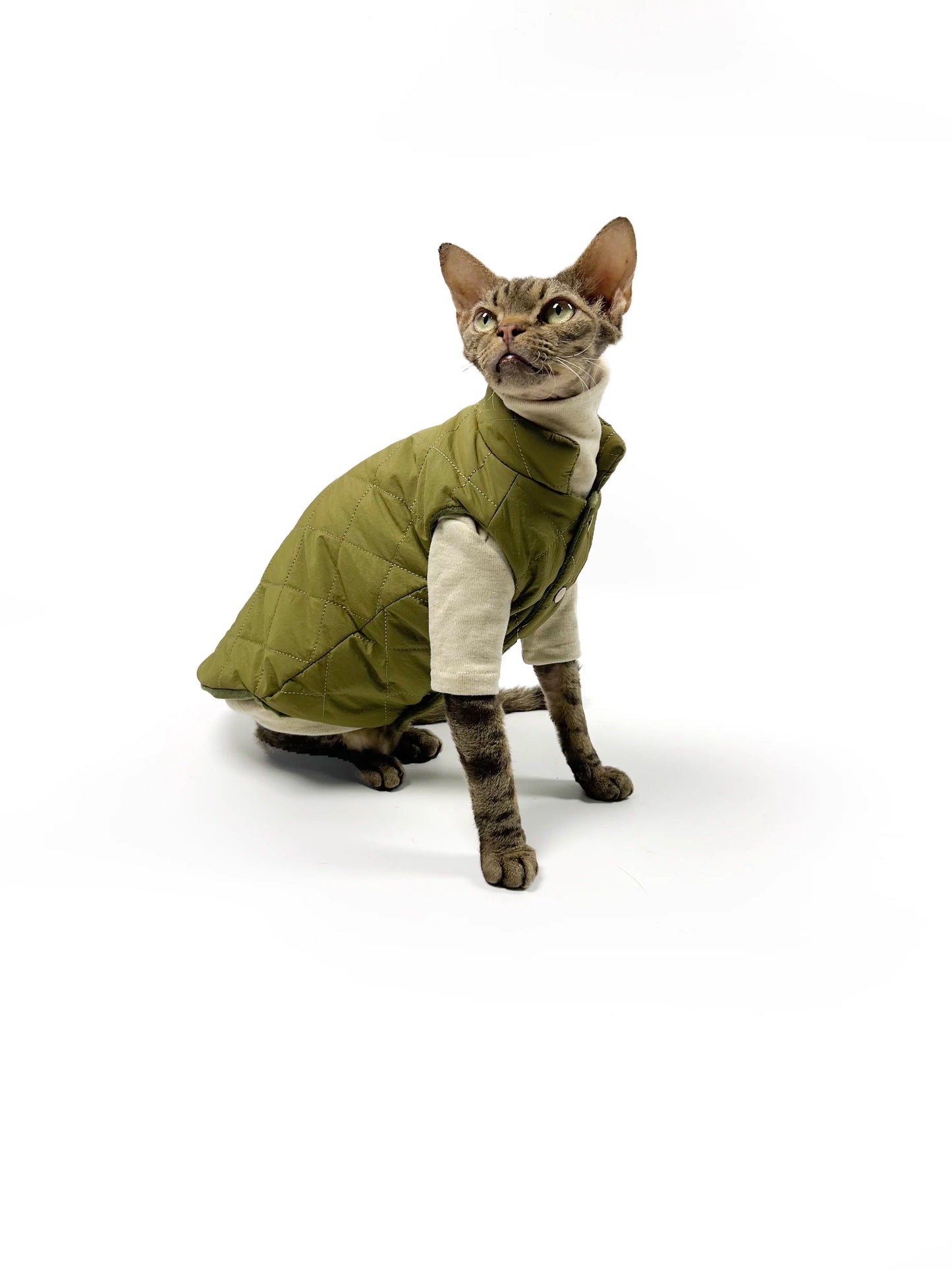 Autumn/Winter Hairless Cat Clothing, Sphinx Devon Winter Thin Fleece-lined Vest, Two-tone Comfortable