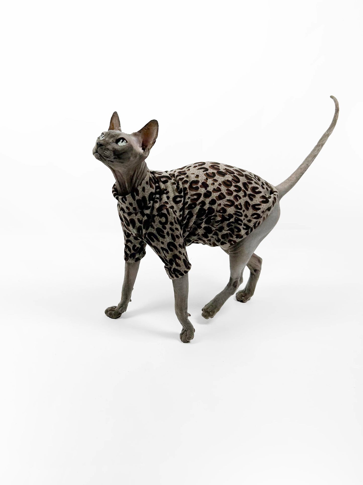 Spring/Summer Hairless Cat Clothes, Sphinx Devon Air-Conditioned Clothing, Thin Base Layer Shirt, Leopard Print Trendy and Cool
