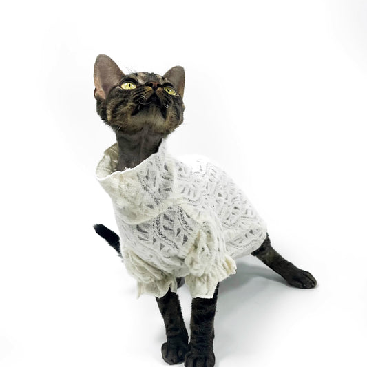 Hairless cat Sphynx Devon clothing breathable T-shirt base layer lady-like lace soft skin-friendly