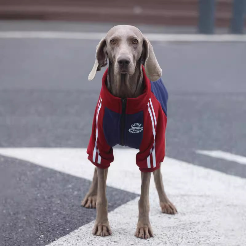 Large dog autumn/winter clothes, medium to large breed color-blocked trendy coats, Border Collie and Golden Retriever fleece-lined, thickened pure cotton winter wear.