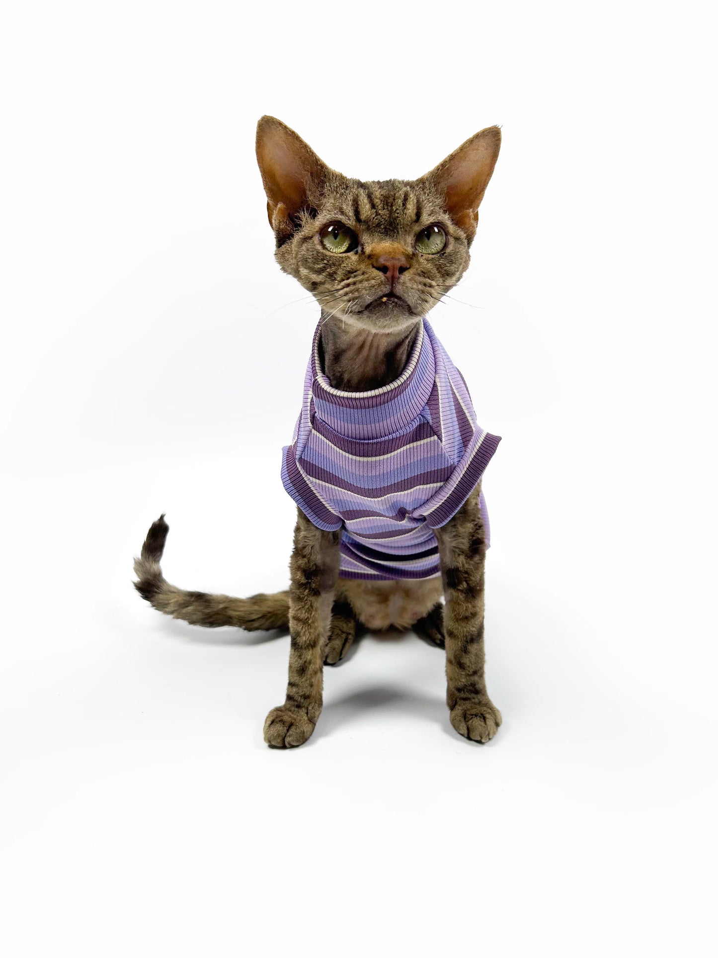 Hairless cat-themed sweater, Sphynx Devon stretch striped air-conditioned clothing, skin-friendly and comfortable vest/T-shirt.