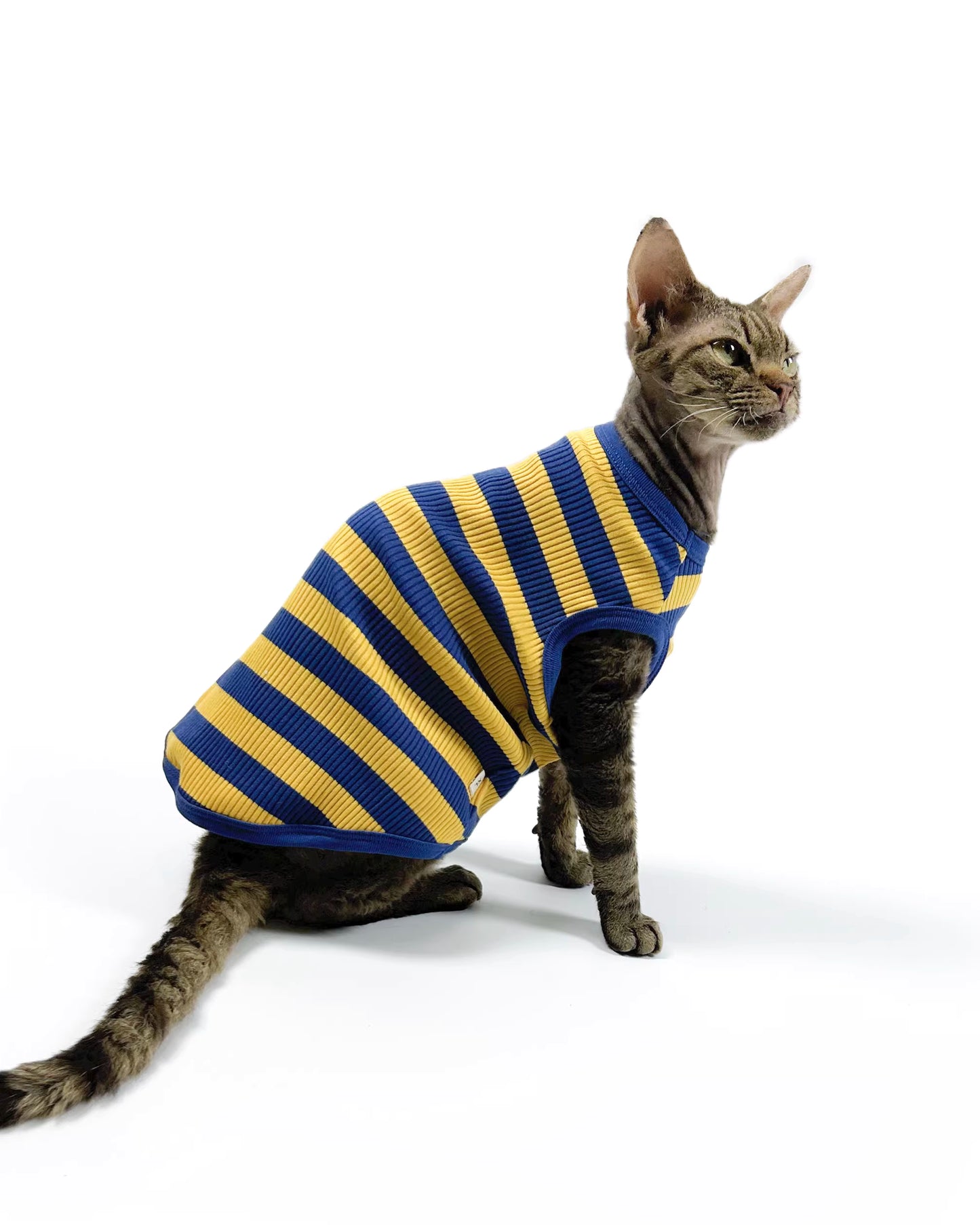 Hairless Cat Clothing: Sphynx & Devon Rex—High-Stretch, Pure Cotton, Comfortable, Skin-Friendly, and Hypoallergenic Vest