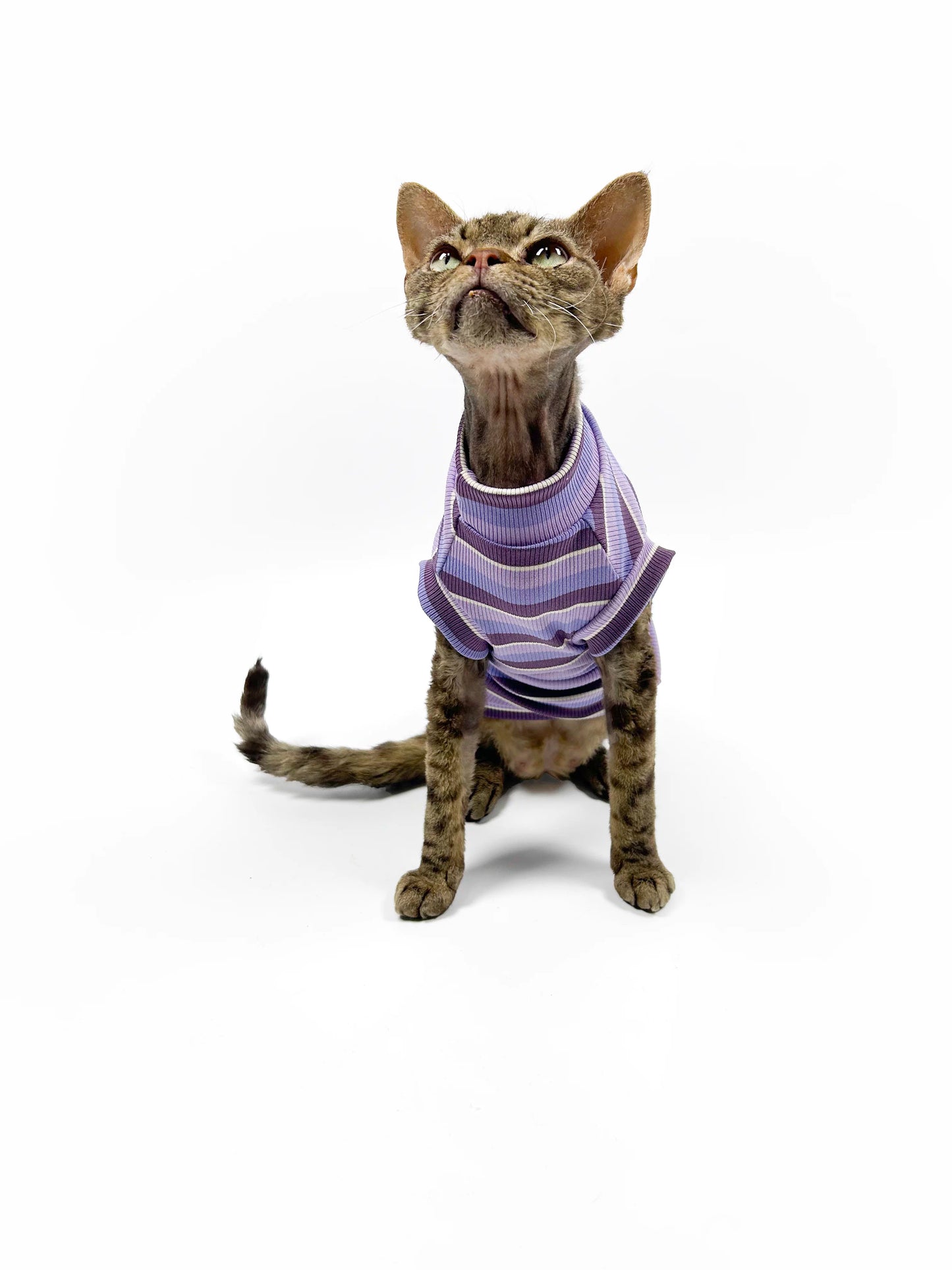 Hairless cat-themed sweater, Sphynx Devon stretch striped air-conditioned clothing, skin-friendly and comfortable vest/T-shirt.