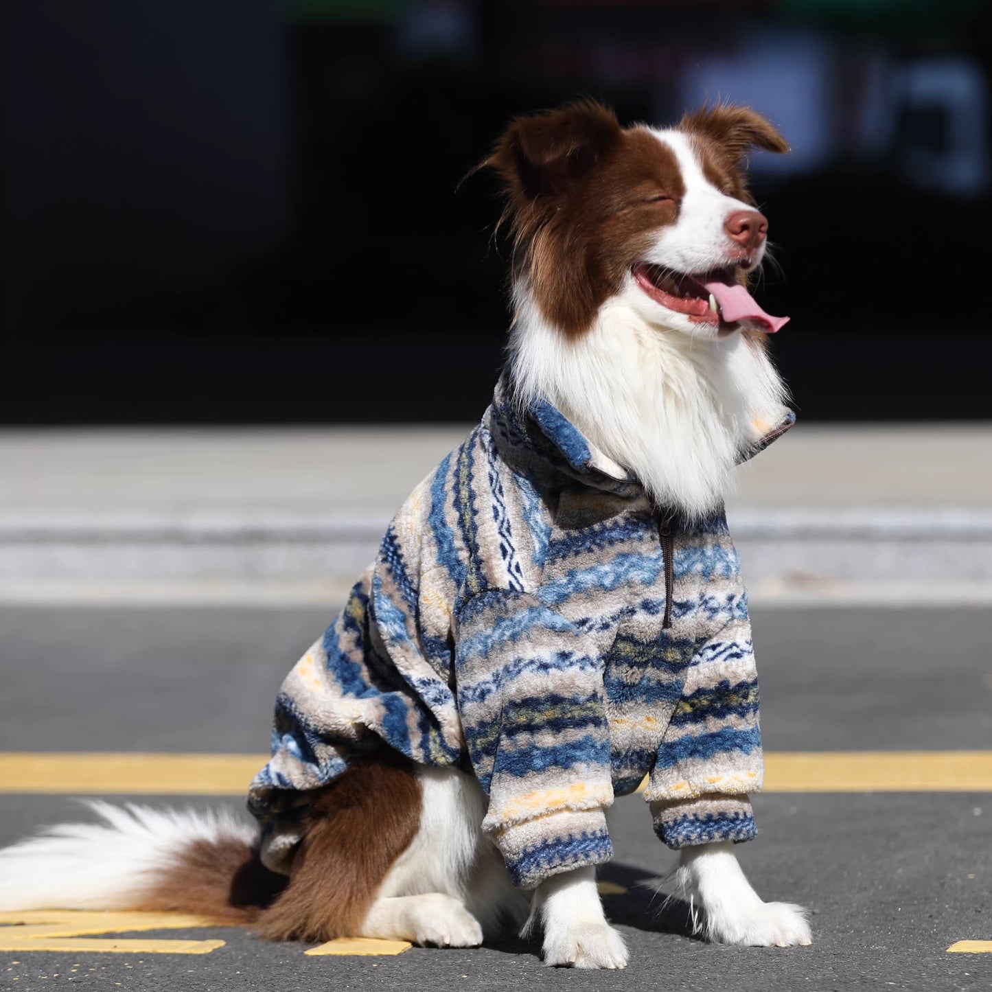 Dog clothes, large breed Border Collie Golden Retriever lamb fleece coat, warm zippered pet winter clothing for autumn and winter.