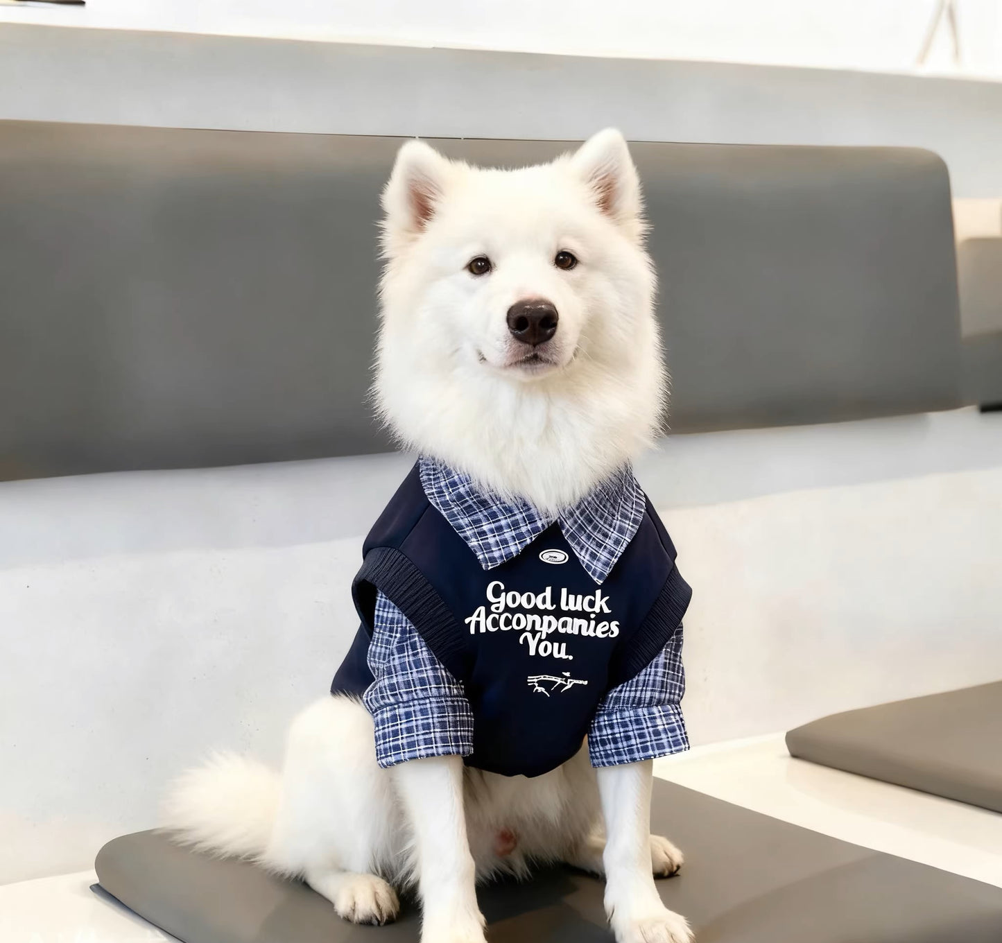 Dog clothes for autumn and winter, fleece-lined and thickened, faux two-piece style, suitable for large breeds such as Golden Retrievers, Labradors, and Border Collies.