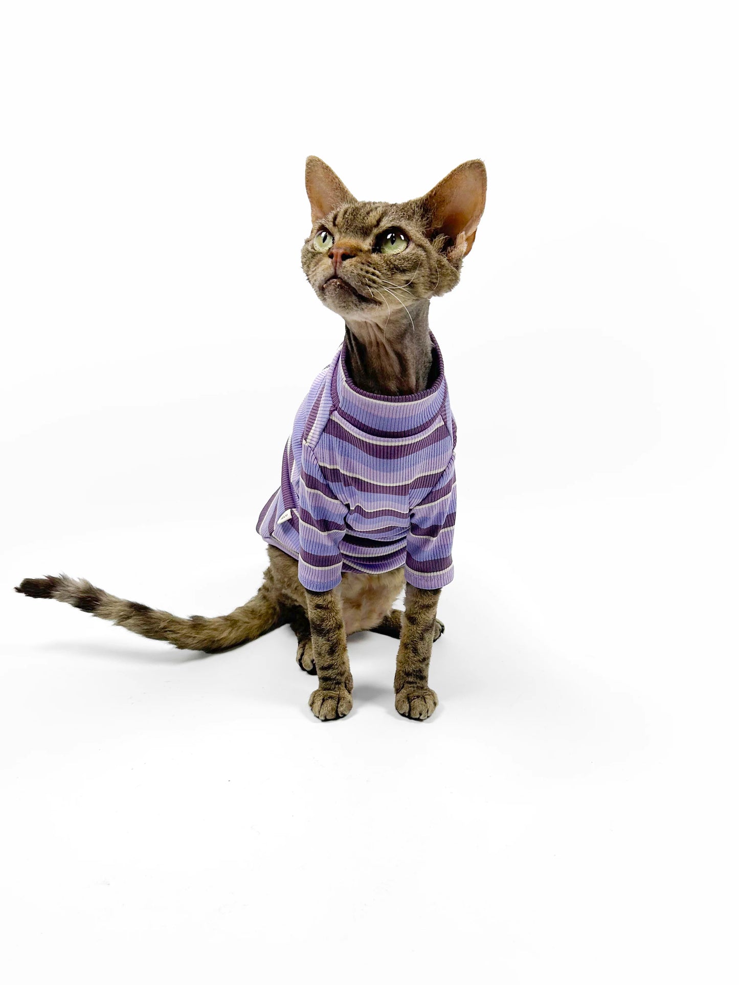 Hairless cat-themed sweater, Sphynx Devon stretch striped air-conditioned clothing, skin-friendly and comfortable vest/T-shirt.