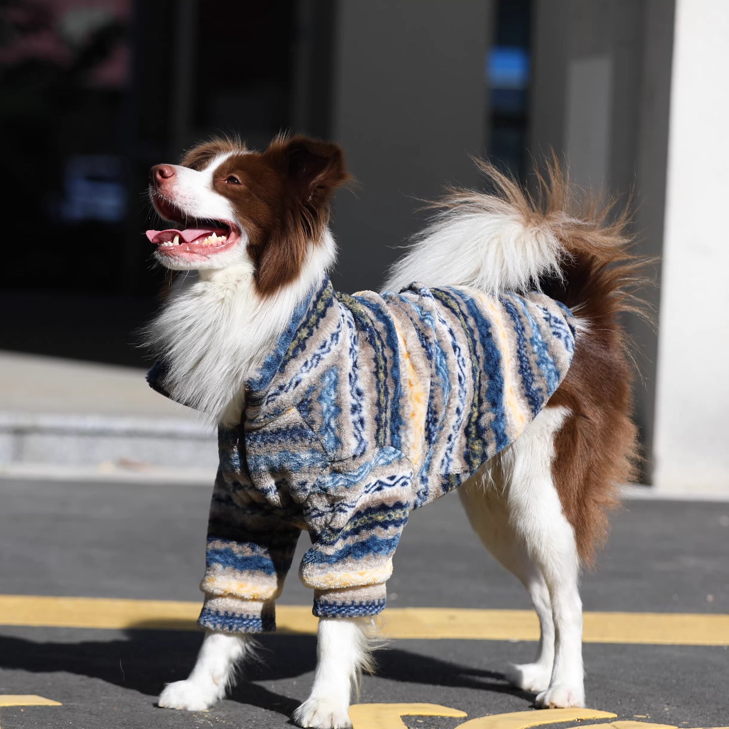 Dog clothes, large breed Border Collie Golden Retriever lamb fleece coat, warm zippered pet winter clothing for autumn and winter.