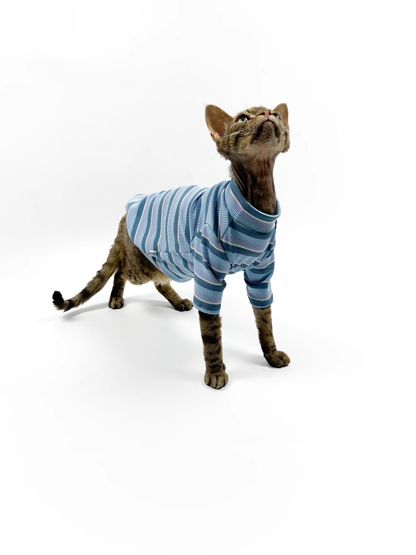 Hairless cat-themed sweater, Sphynx Devon stretch striped air-conditioned clothing, skin-friendly and comfortable vest/T-shirt.
