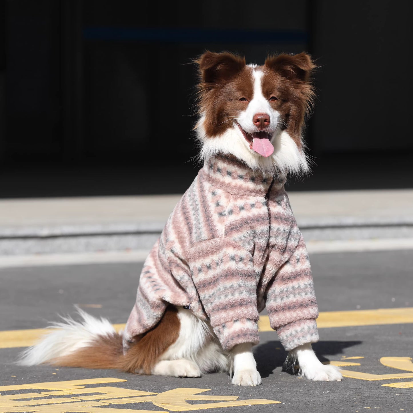 Dog clothes, large breed Border Collie Golden Retriever lamb fleece coat, warm zippered pet winter clothing for autumn and winter.
