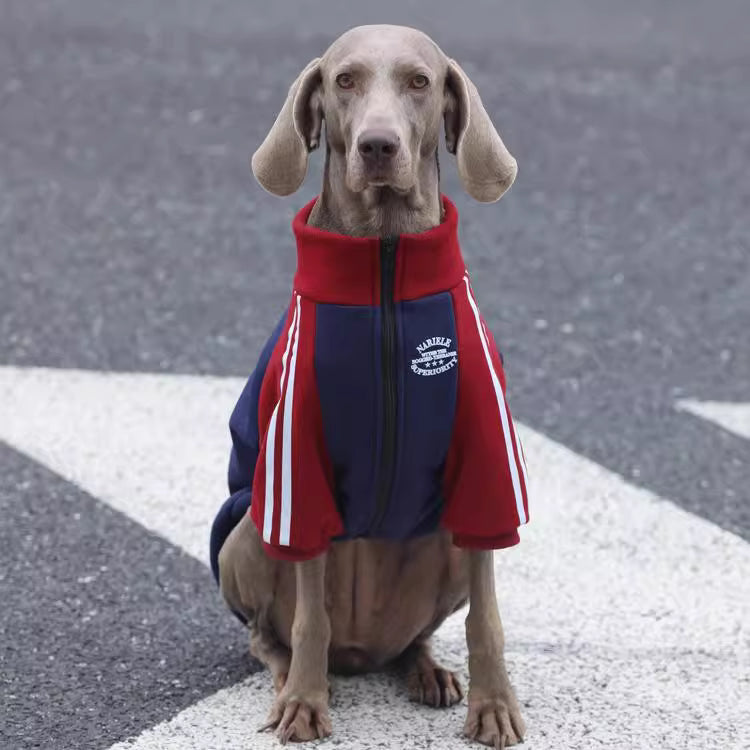 Large dog autumn/winter clothes, medium to large breed color-blocked trendy coats, Border Collie and Golden Retriever fleece-lined, thickened pure cotton winter wear.
