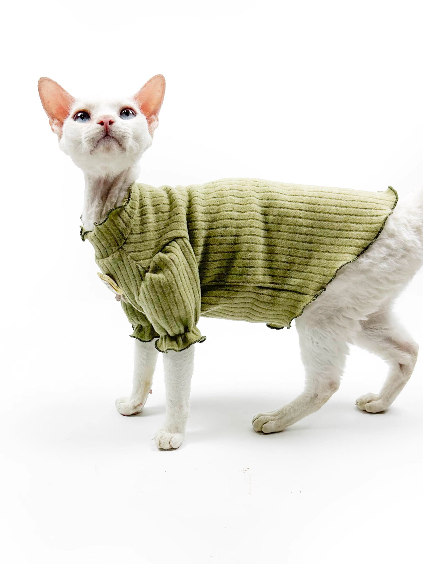 Hairless cat clothes, Sphynx Devon early autumn soft and skin-friendly fleece puff sleeve princess style