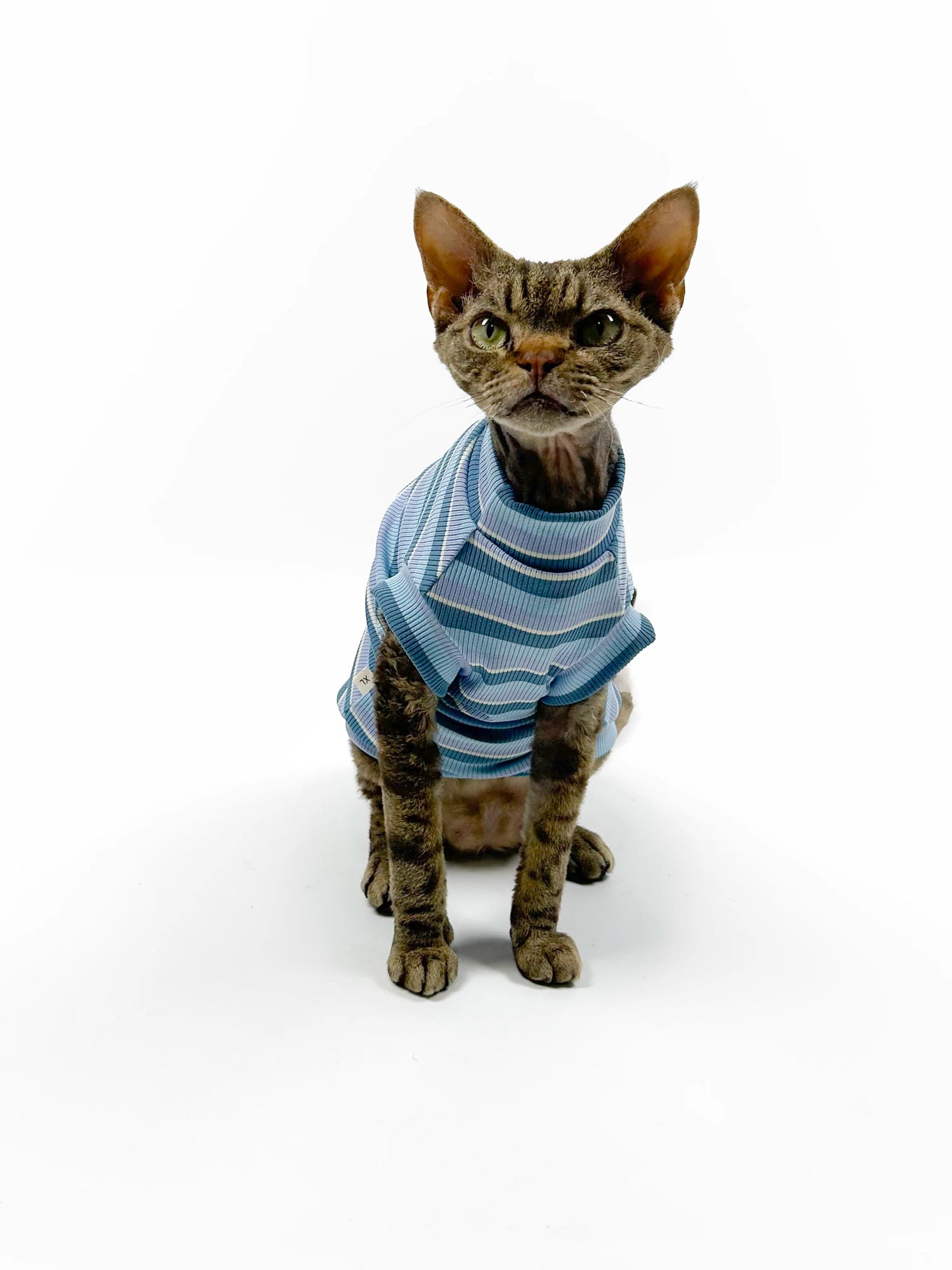 Hairless cat-themed sweater, Sphynx Devon stretch striped air-conditioned clothing, skin-friendly and comfortable vest/T-shirt.