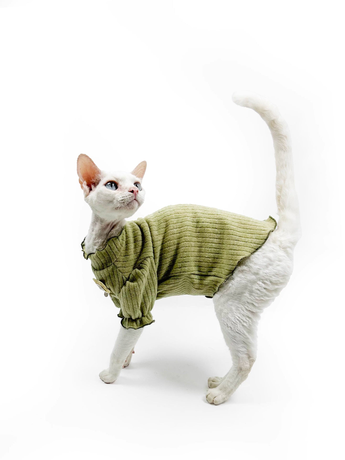 Hairless cat clothes, Sphynx Devon early autumn soft and skin-friendly fleece puff sleeve princess style