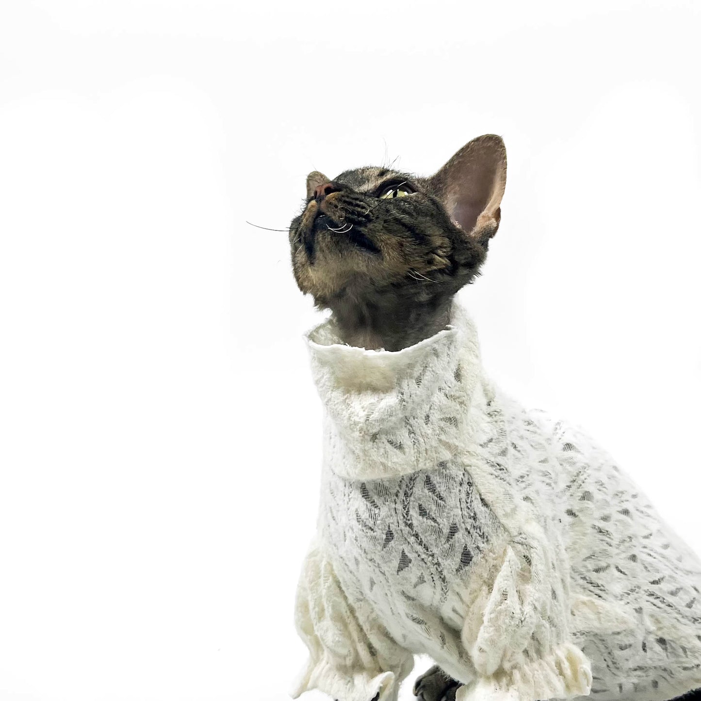 Hairless cat Sphynx Devon clothing breathable T-shirt base layer lady-like lace soft skin-friendly