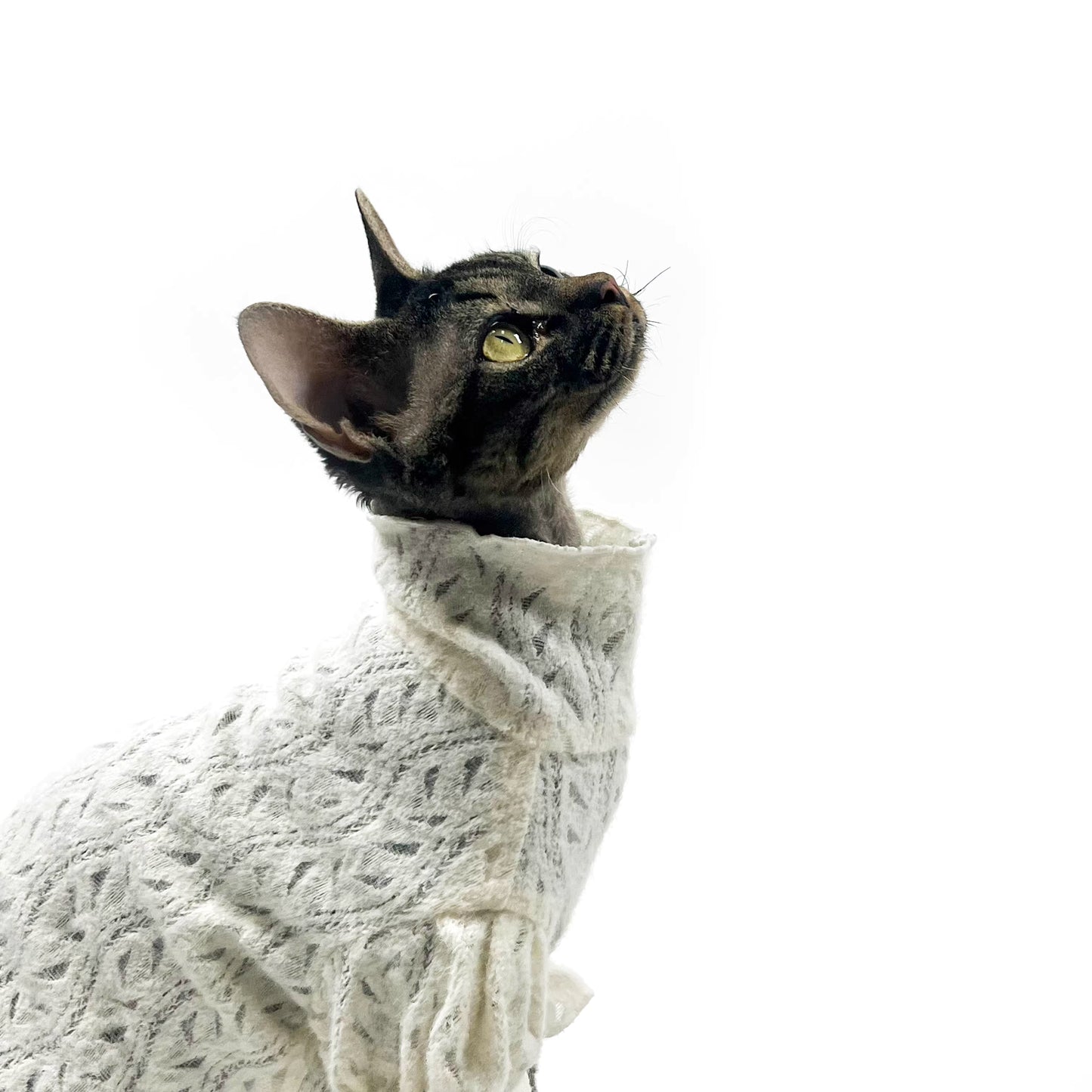 Hairless cat Sphynx Devon clothing breathable T-shirt base layer lady-like lace soft skin-friendly