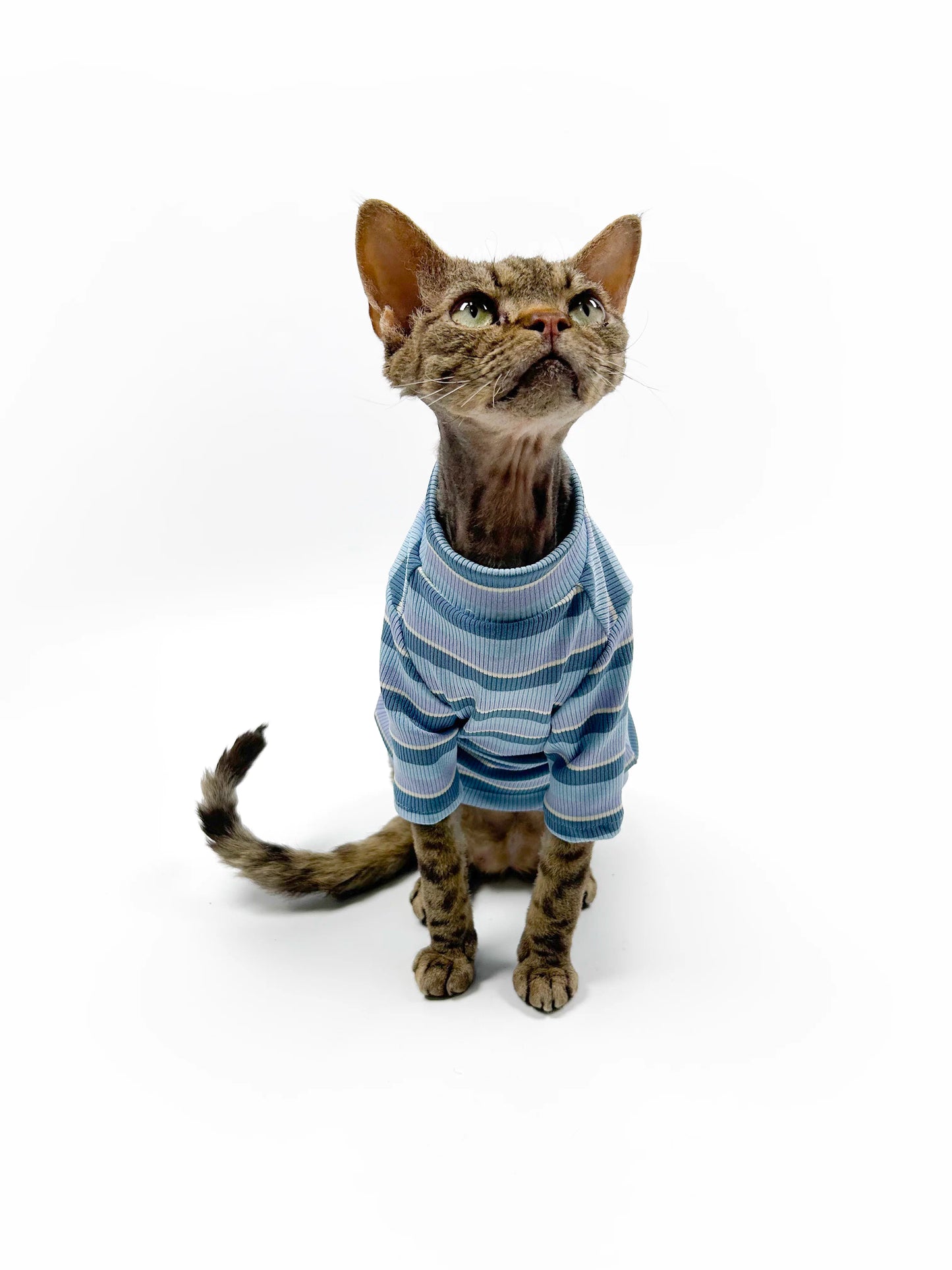 Hairless cat-themed sweater, Sphynx Devon stretch striped air-conditioned clothing, skin-friendly and comfortable vest/T-shirt.