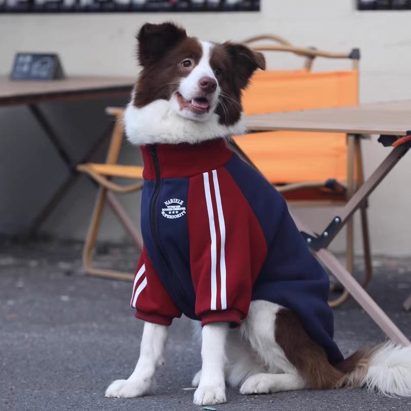 Large dog autumn/winter clothes, medium to large breed color-blocked trendy coats, Border Collie and Golden Retriever fleece-lined, thickened pure cotton winter wear.