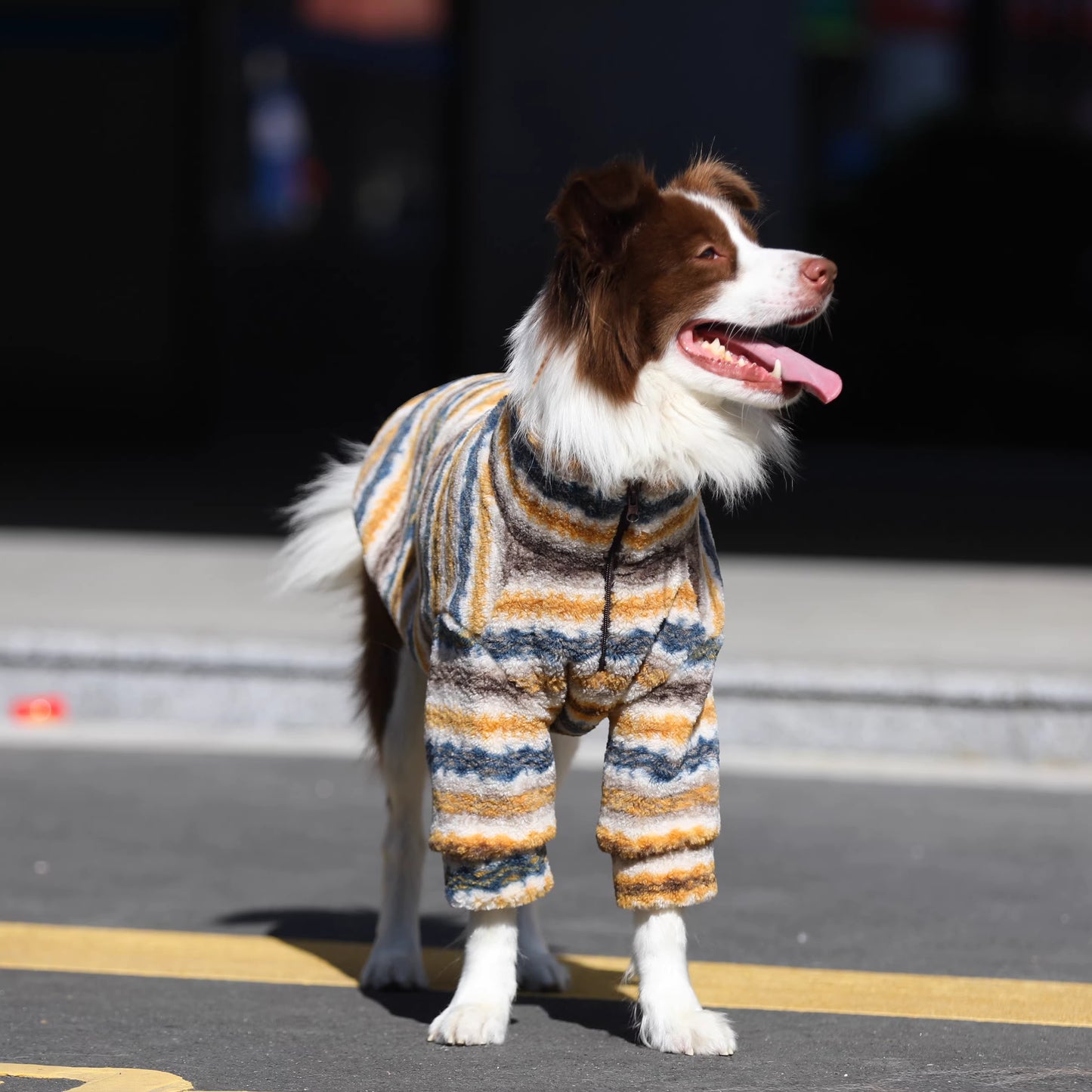 Dog clothes, large breed Border Collie Golden Retriever lamb fleece coat, warm zippered pet winter clothing for autumn and winter.
