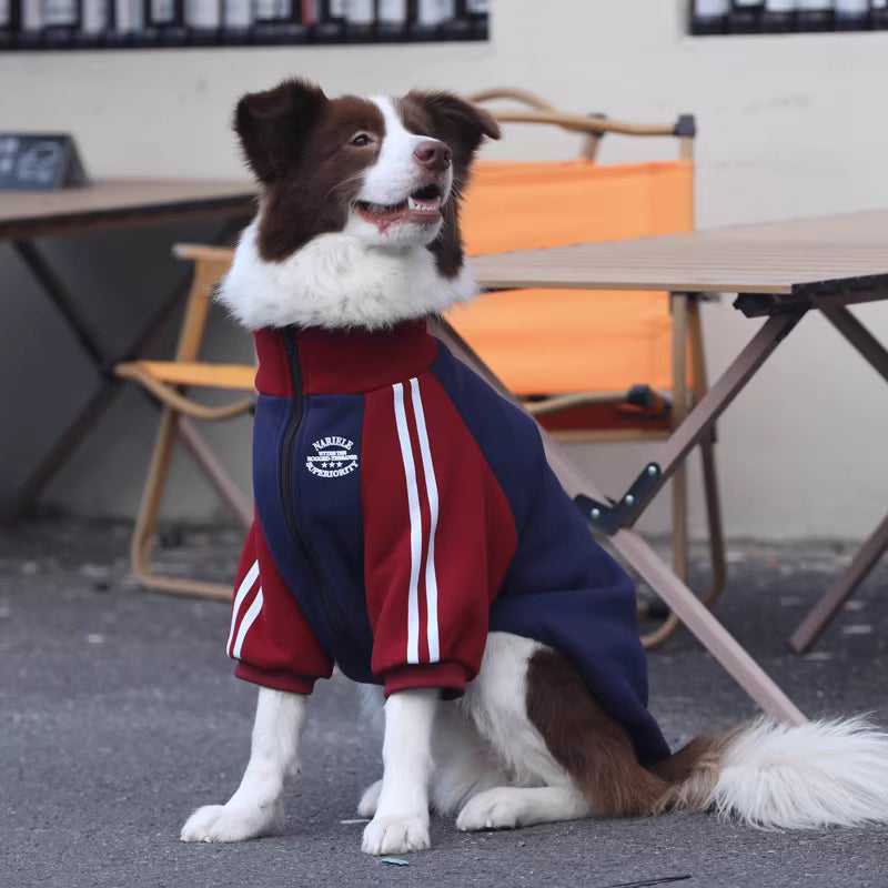 Large dog autumn/winter clothes, medium to large breed color-blocked trendy coats, Border Collie and Golden Retriever fleece-lined, thickened pure cotton winter wear.