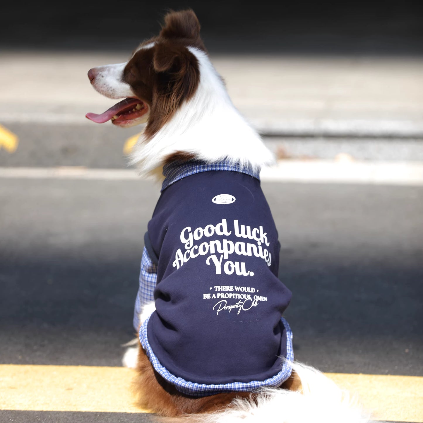 Dog clothes for autumn and winter, fleece-lined and thickened, faux two-piece style, suitable for large breeds such as Golden Retrievers, Labradors, and Border Collies.