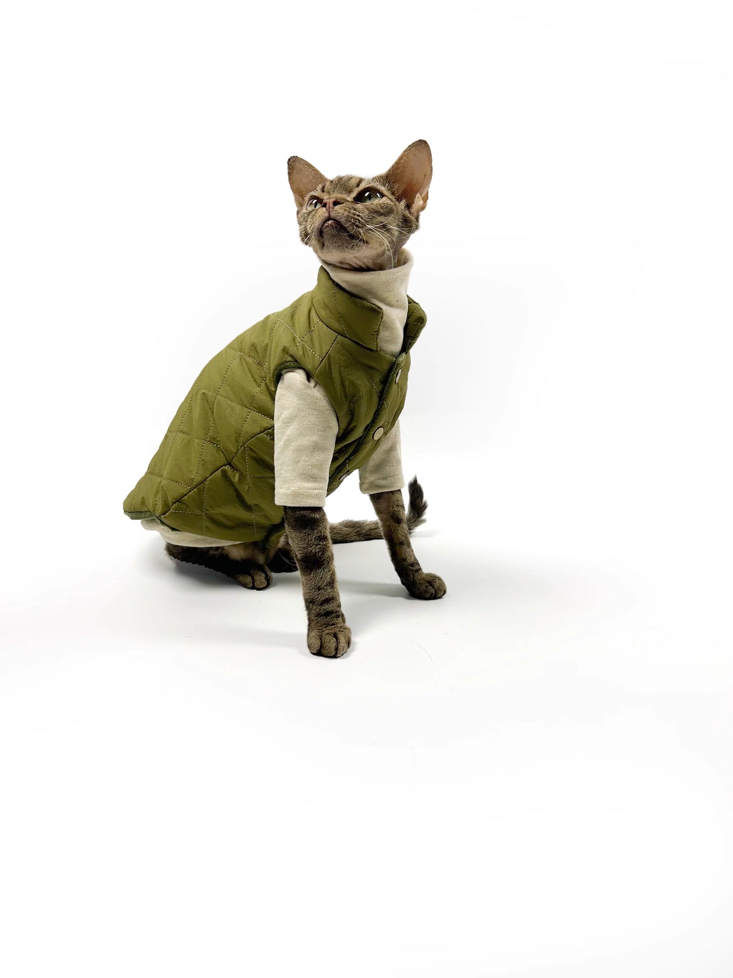 Autumn/Winter Hairless Cat Clothing, Sphinx Devon Winter Thin Fleece-lined Vest, Two-tone Comfortable