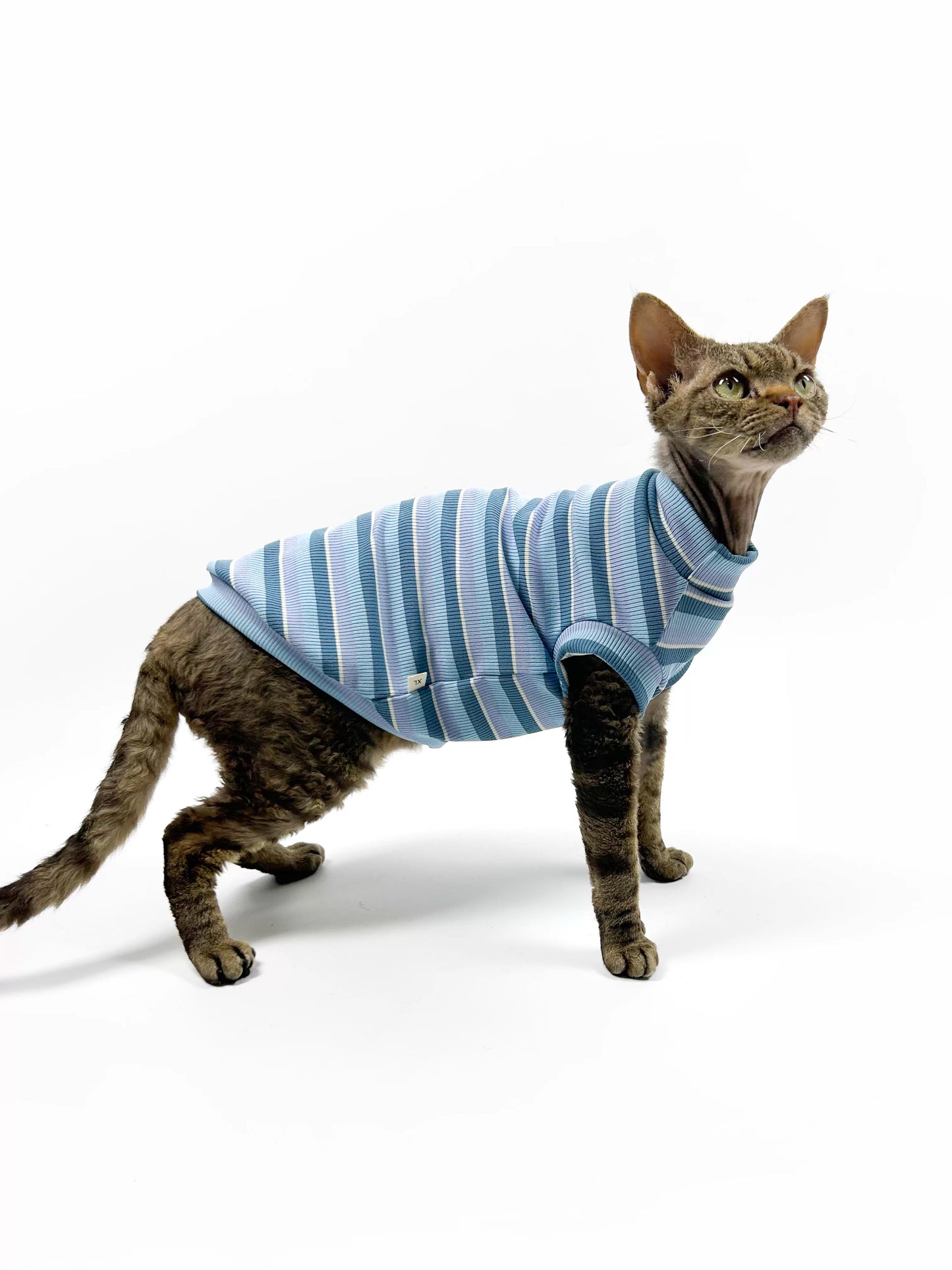 Hairless cat-themed sweater, Sphynx Devon stretch striped air-conditioned clothing, skin-friendly and comfortable vest/T-shirt.