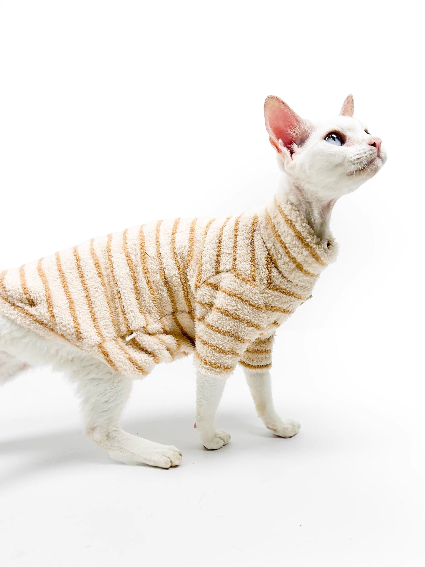 Autumn/Winter Hairless Cat Clothing — Sphynx & Devon Rex — 4-Way Stretch, Comfortable, Warm, Anti-Shedding, Striped Design