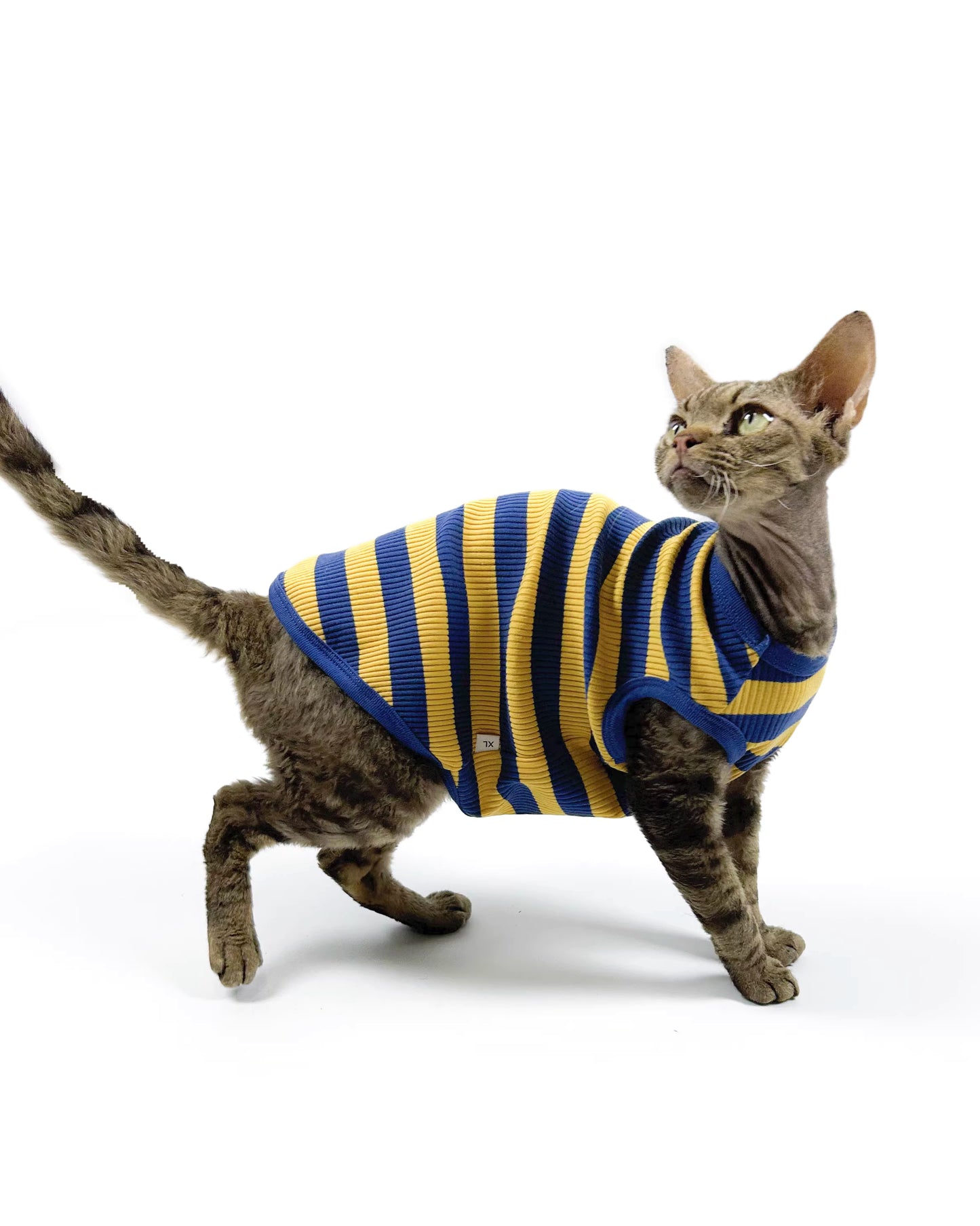 Hairless Cat Clothing: Sphynx & Devon Rex—High-Stretch, Pure Cotton, Comfortable, Skin-Friendly, and Hypoallergenic Vest