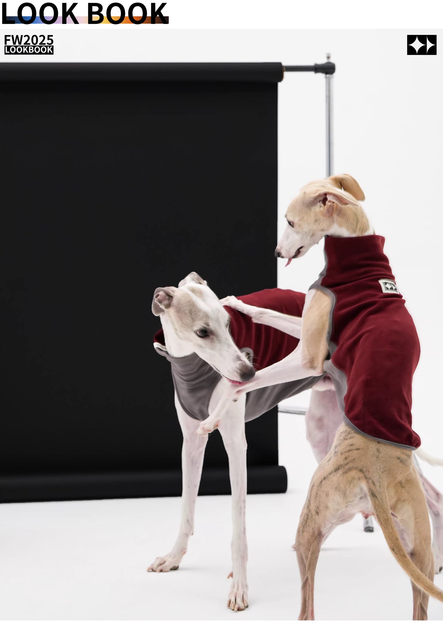 Antistatic, warm, elastic ginger-warm Tencel vest, Bedlington Little Greyhound Whippet clothing