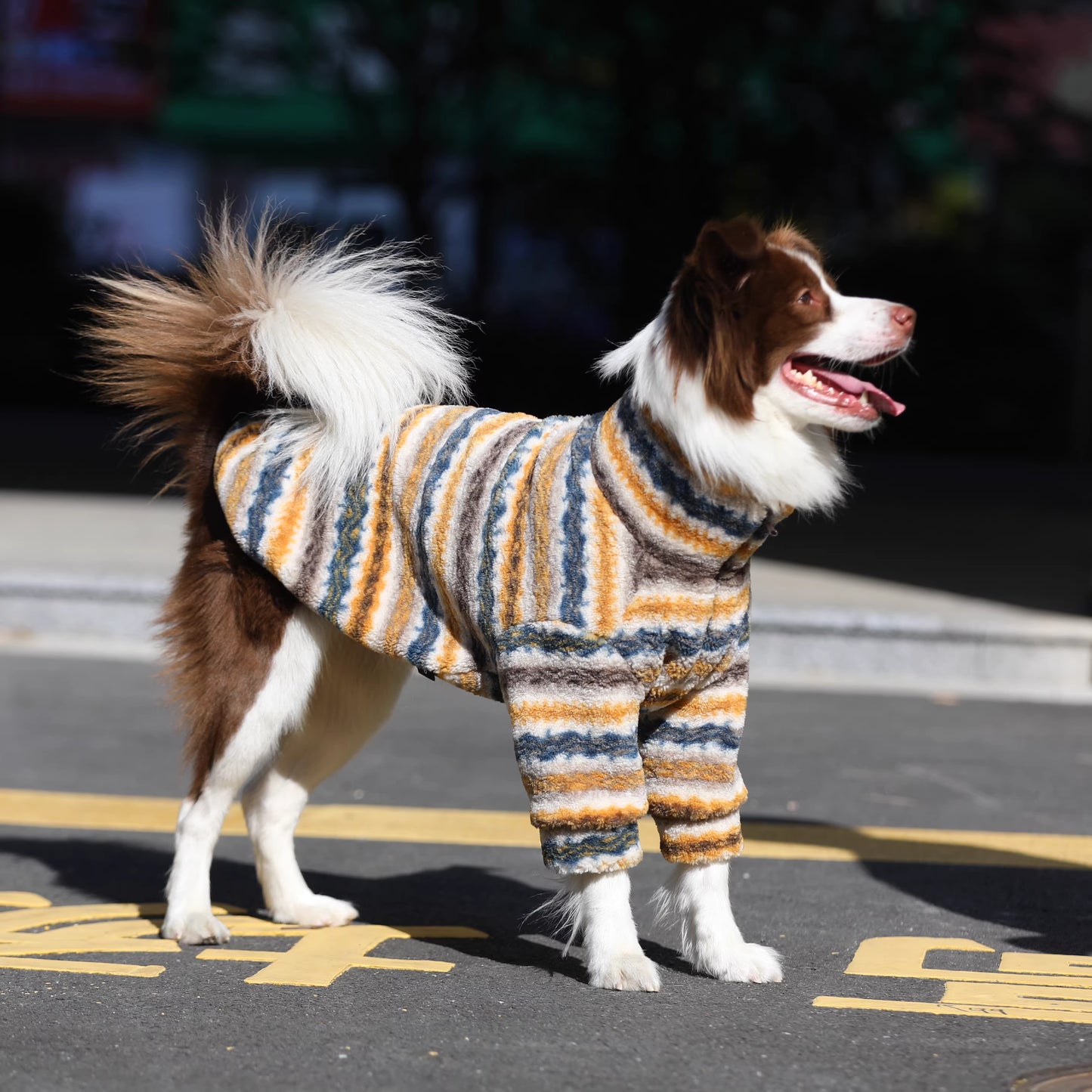 Dog clothes, large breed Border Collie Golden Retriever lamb fleece coat, warm zippered pet winter clothing for autumn and winter.