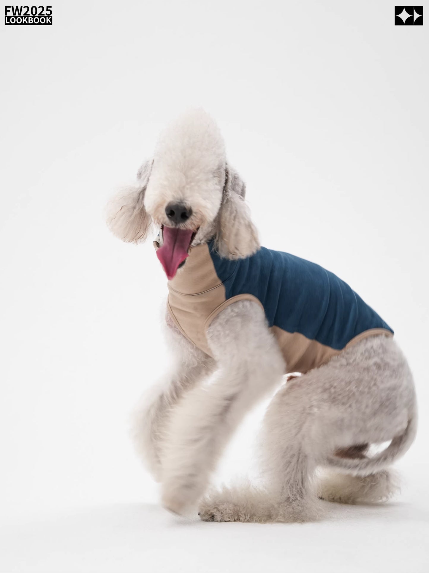 Antistatic, warm, elastic ginger-warm Tencel vest, Bedlington Little Greyhound Whippet clothing