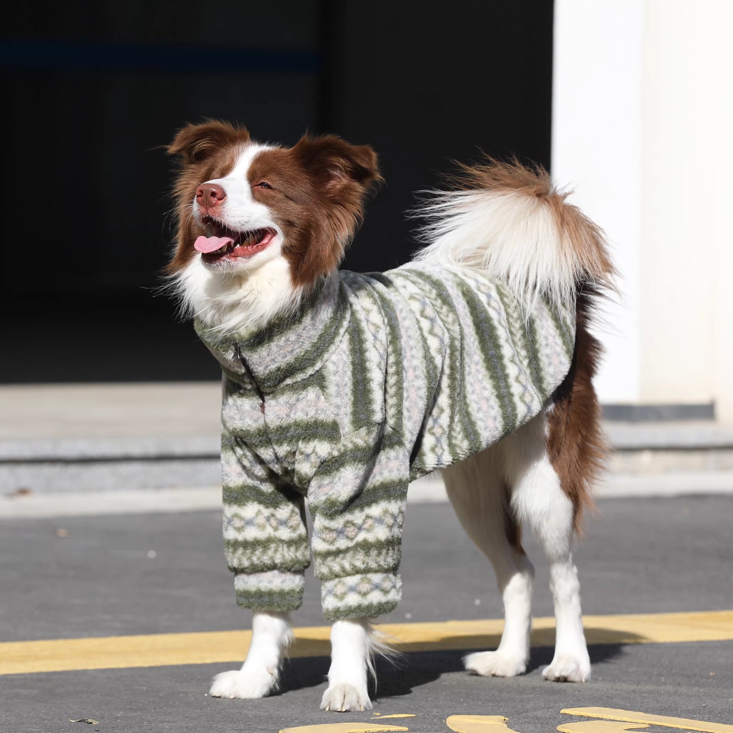 Dog clothes, large breed Border Collie Golden Retriever lamb fleece coat, warm zippered pet winter clothing for autumn and winter.