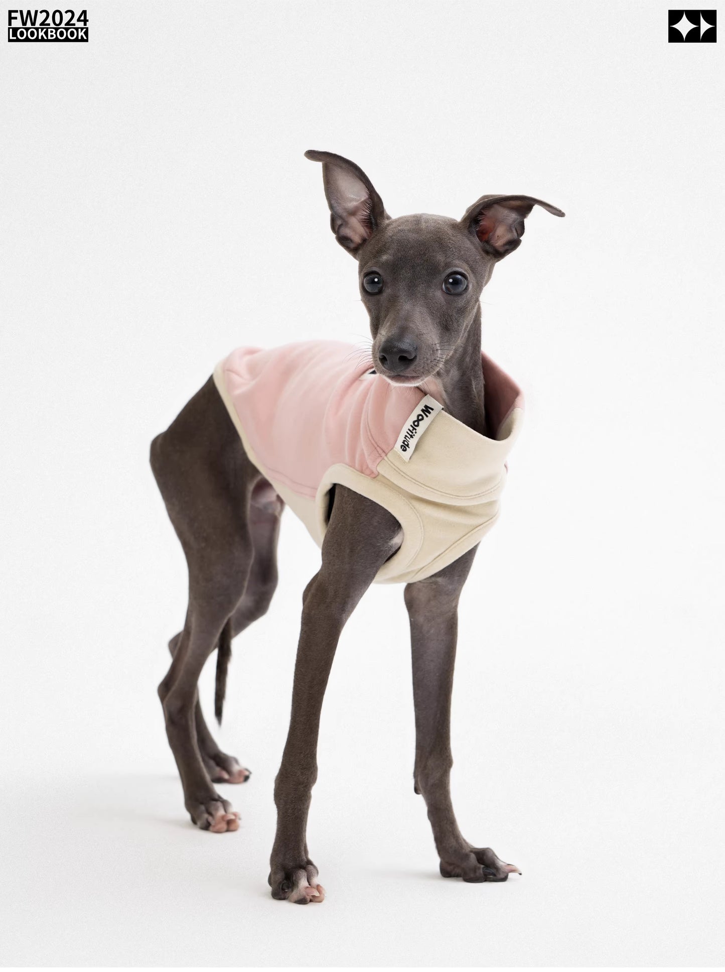 Antistatic, warm, elastic ginger-warm Tencel vest, Bedlington Little Greyhound Whippet clothing