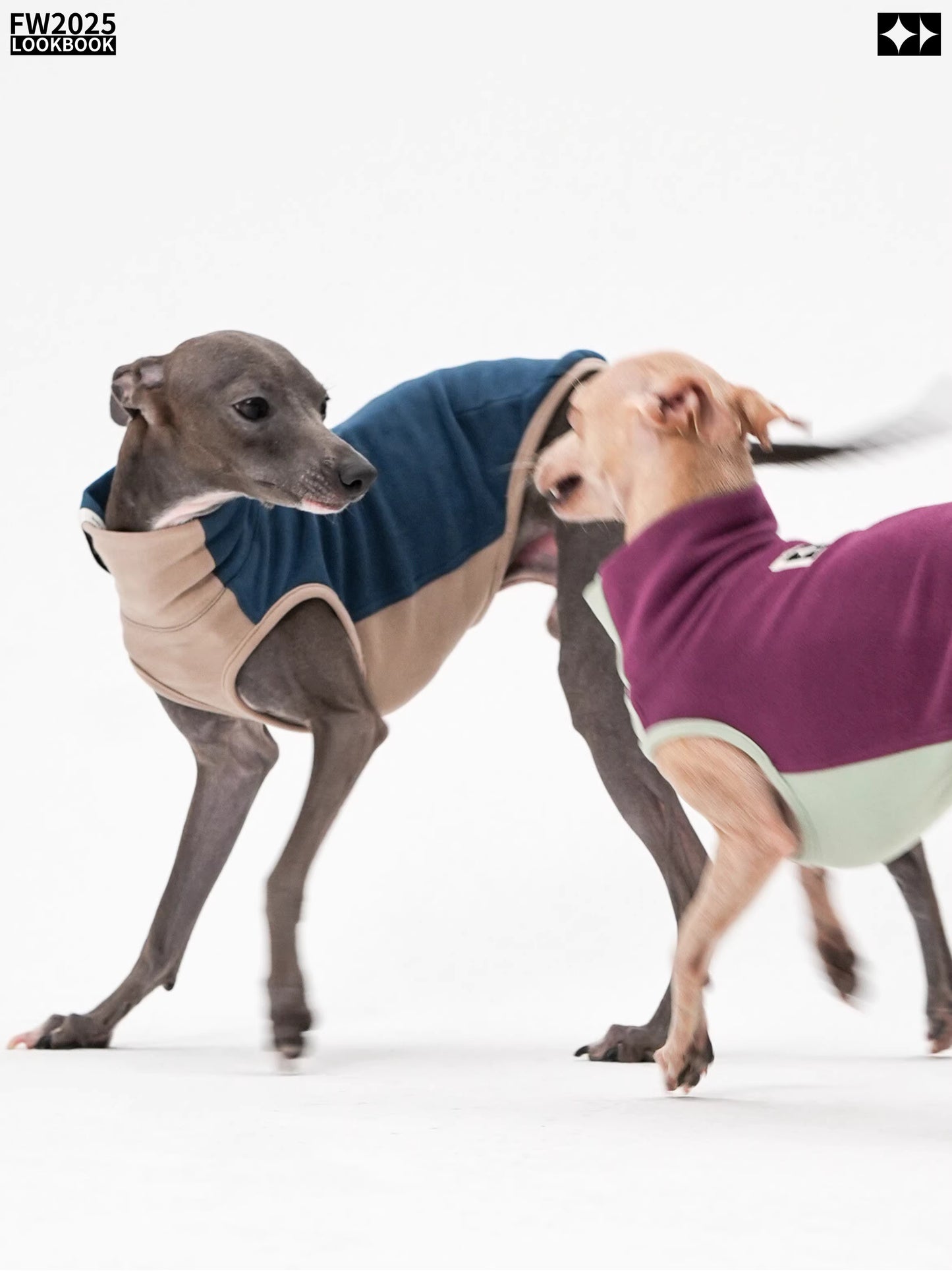Antistatic, warm, elastic ginger-warm Tencel vest, Bedlington Little Greyhound Whippet clothing