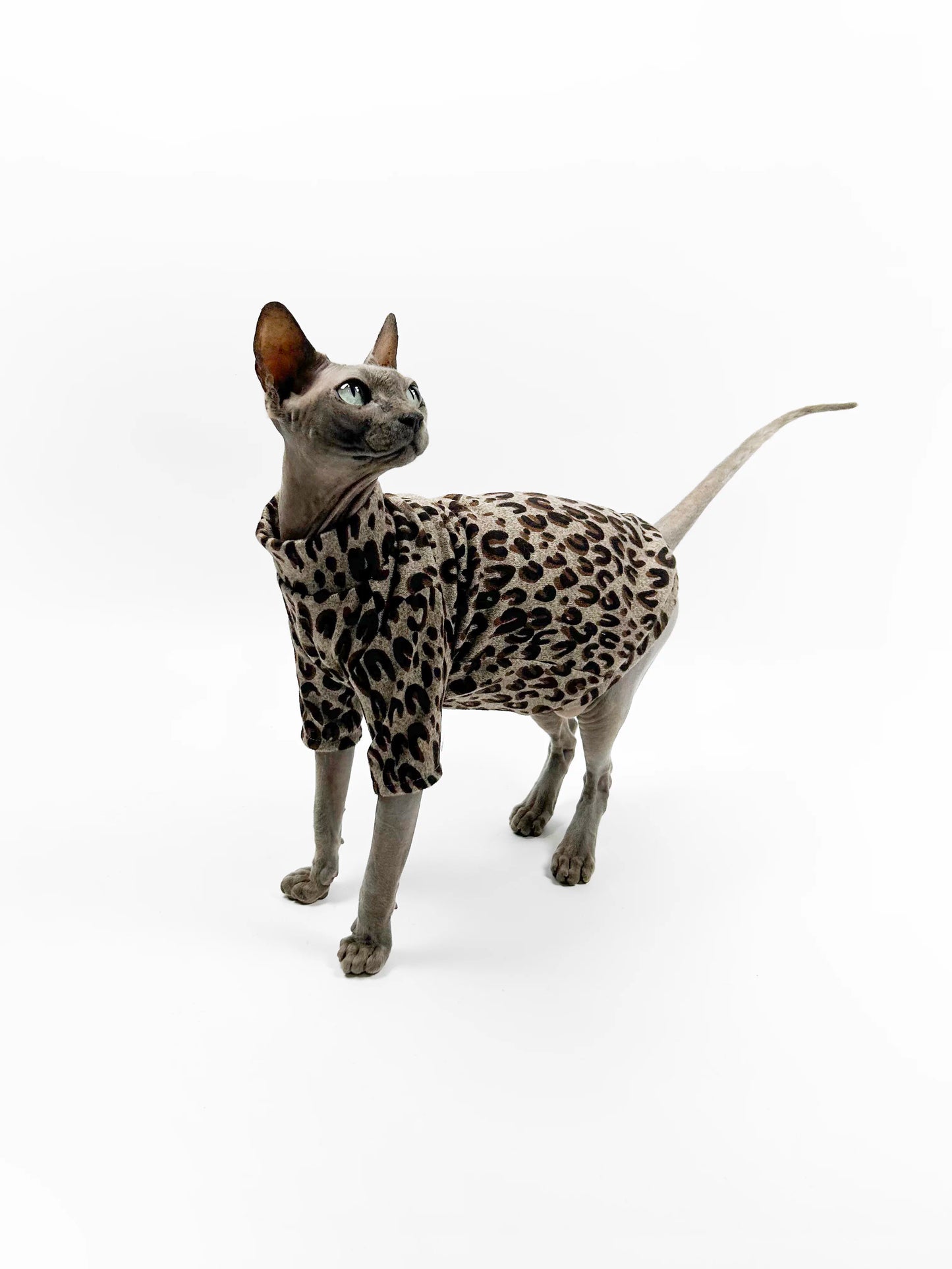 Spring/Summer Hairless Cat Clothes, Sphinx Devon Air-Conditioned Clothing, Thin Base Layer Shirt, Leopard Print Trendy and Cool