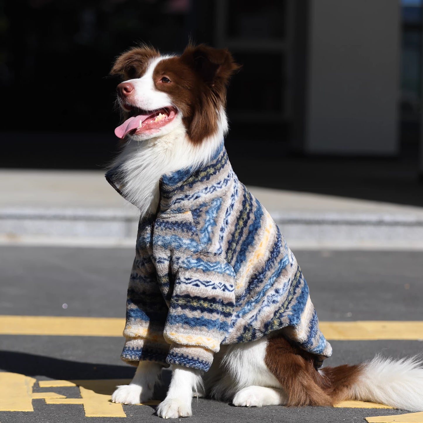 Dog clothes, large breed Border Collie Golden Retriever lamb fleece coat, warm zippered pet winter clothing for autumn and winter.
