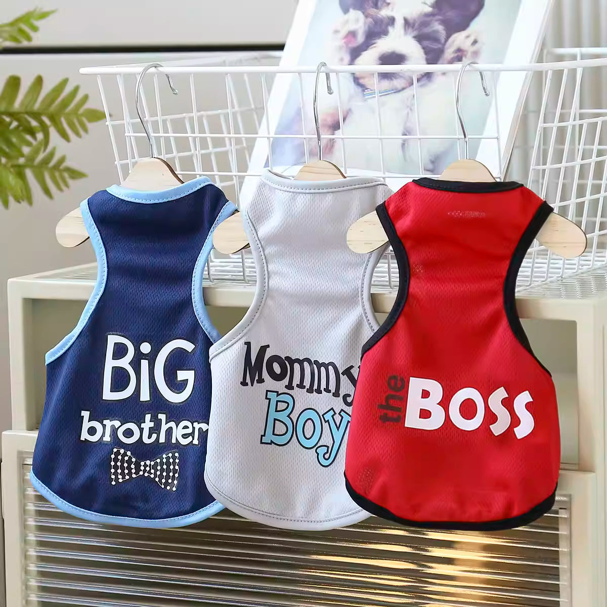 Summer Lightweight Printed Vest for Dogs — Summer Pet Clothing for Cats, Corgis, Poodles, and Puppies