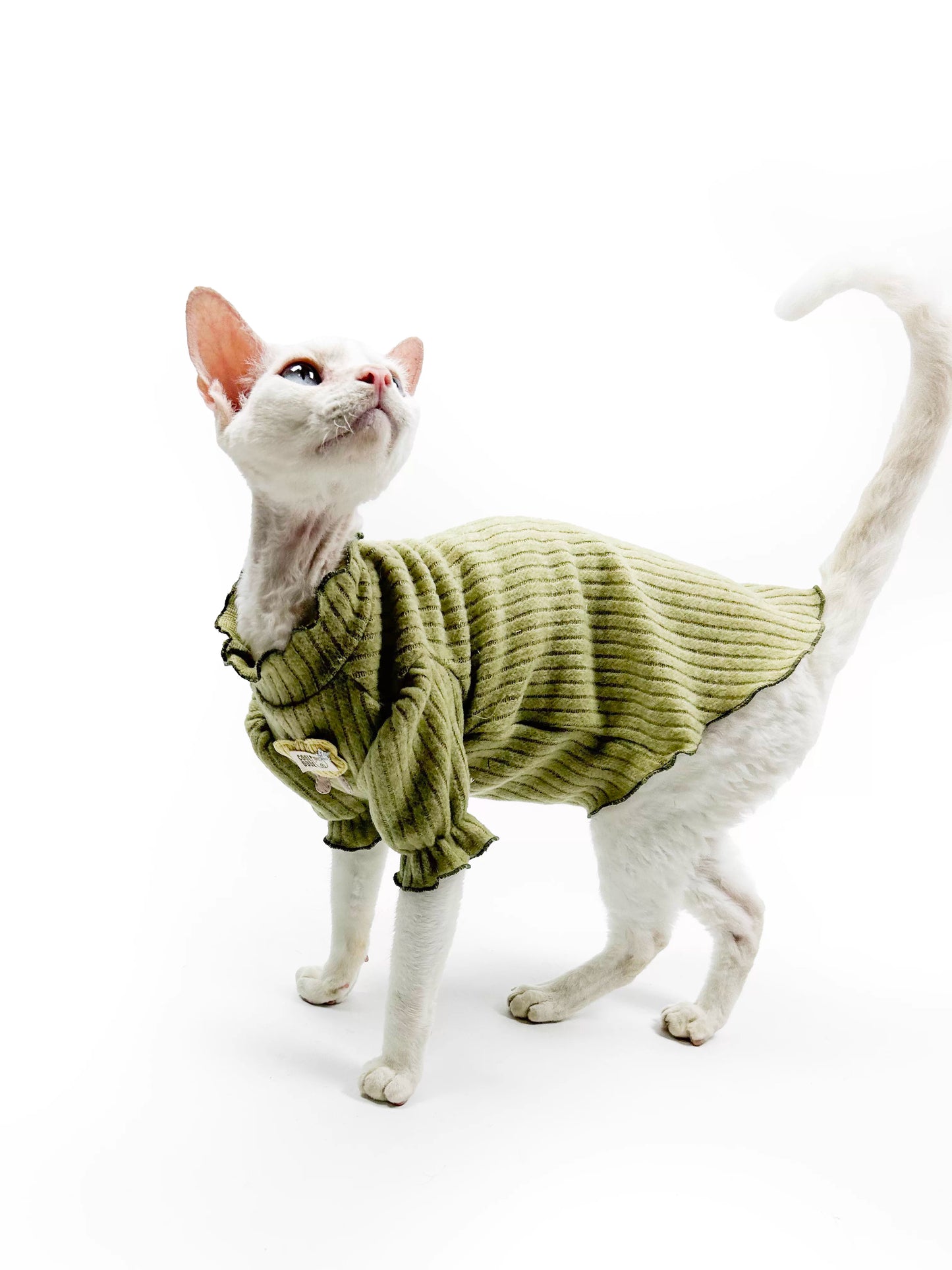 Hairless cat clothes, Sphynx Devon early autumn soft and skin-friendly fleece puff sleeve princess style