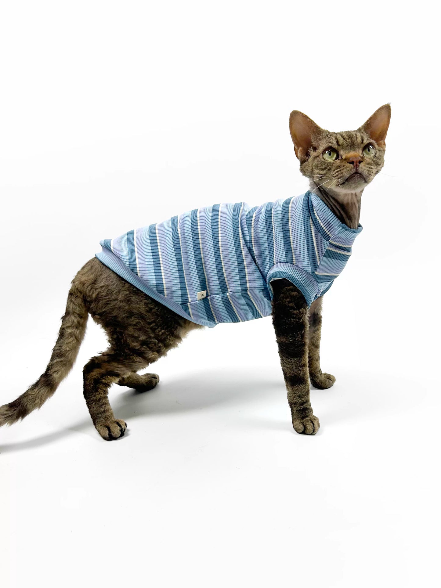 Hairless cat-themed sweater, Sphynx Devon stretch striped air-conditioned clothing, skin-friendly and comfortable vest/T-shirt.