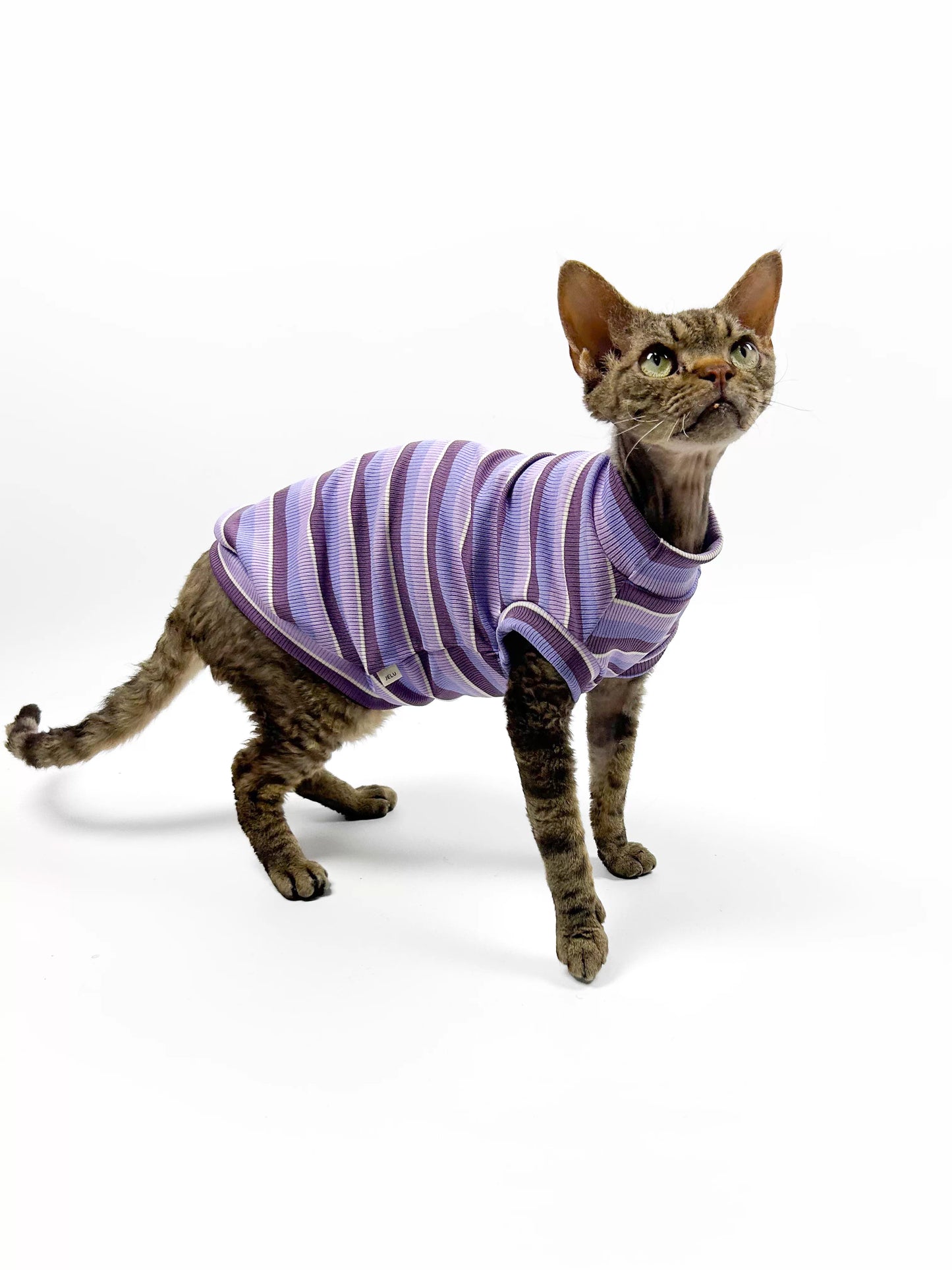 Hairless cat-themed sweater, Sphynx Devon stretch striped air-conditioned clothing, skin-friendly and comfortable vest/T-shirt.
